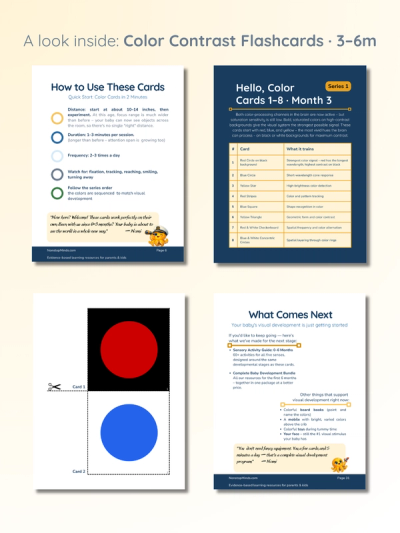 The Complete First Year Bundle — preview image 4