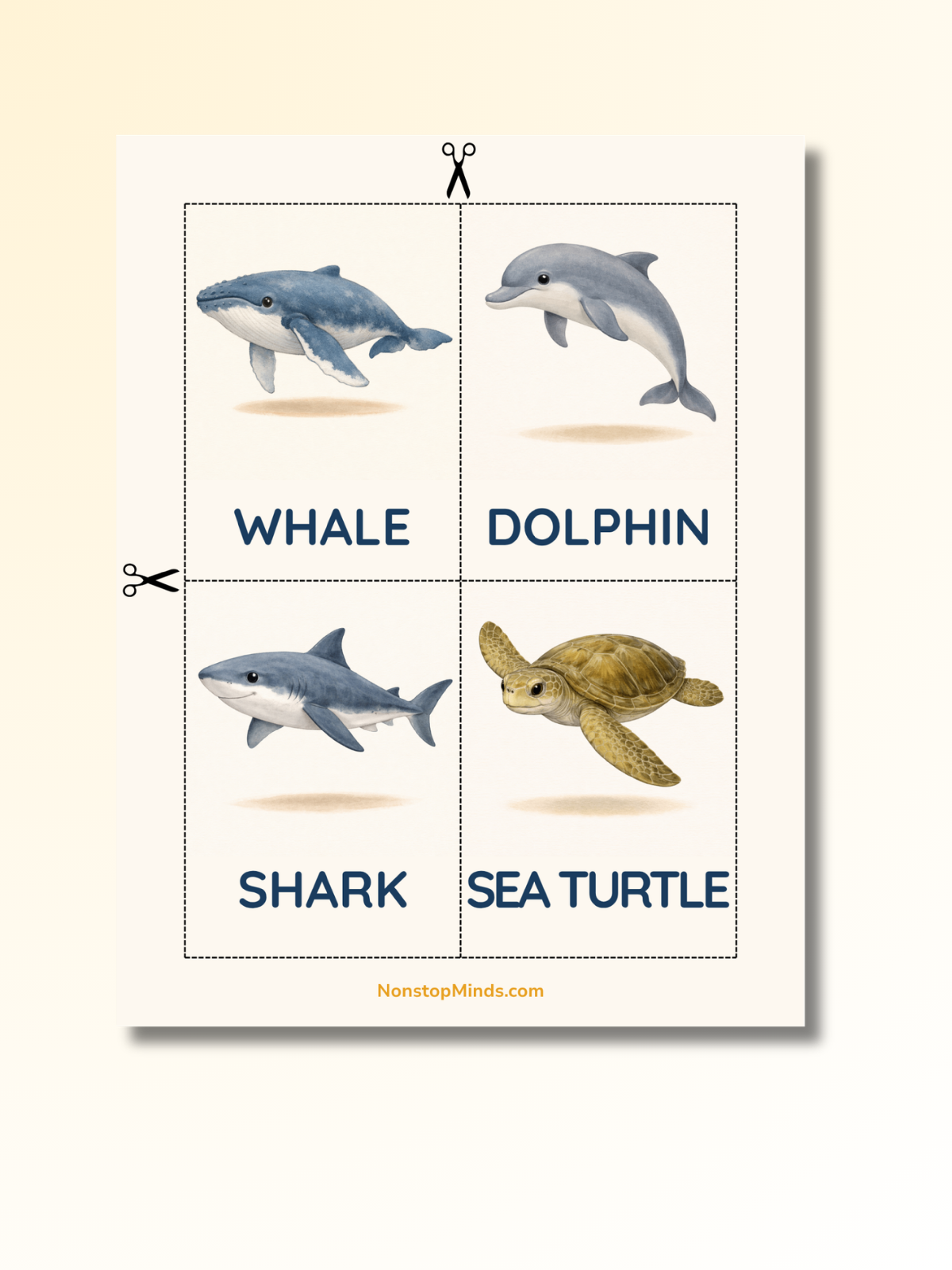 Ocean Animals: First Words Flashcards — preview image 4