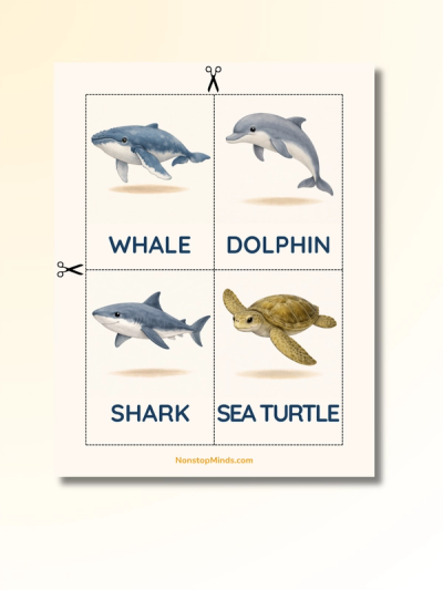 Ocean Animals: First Words Flashcards — preview image 4