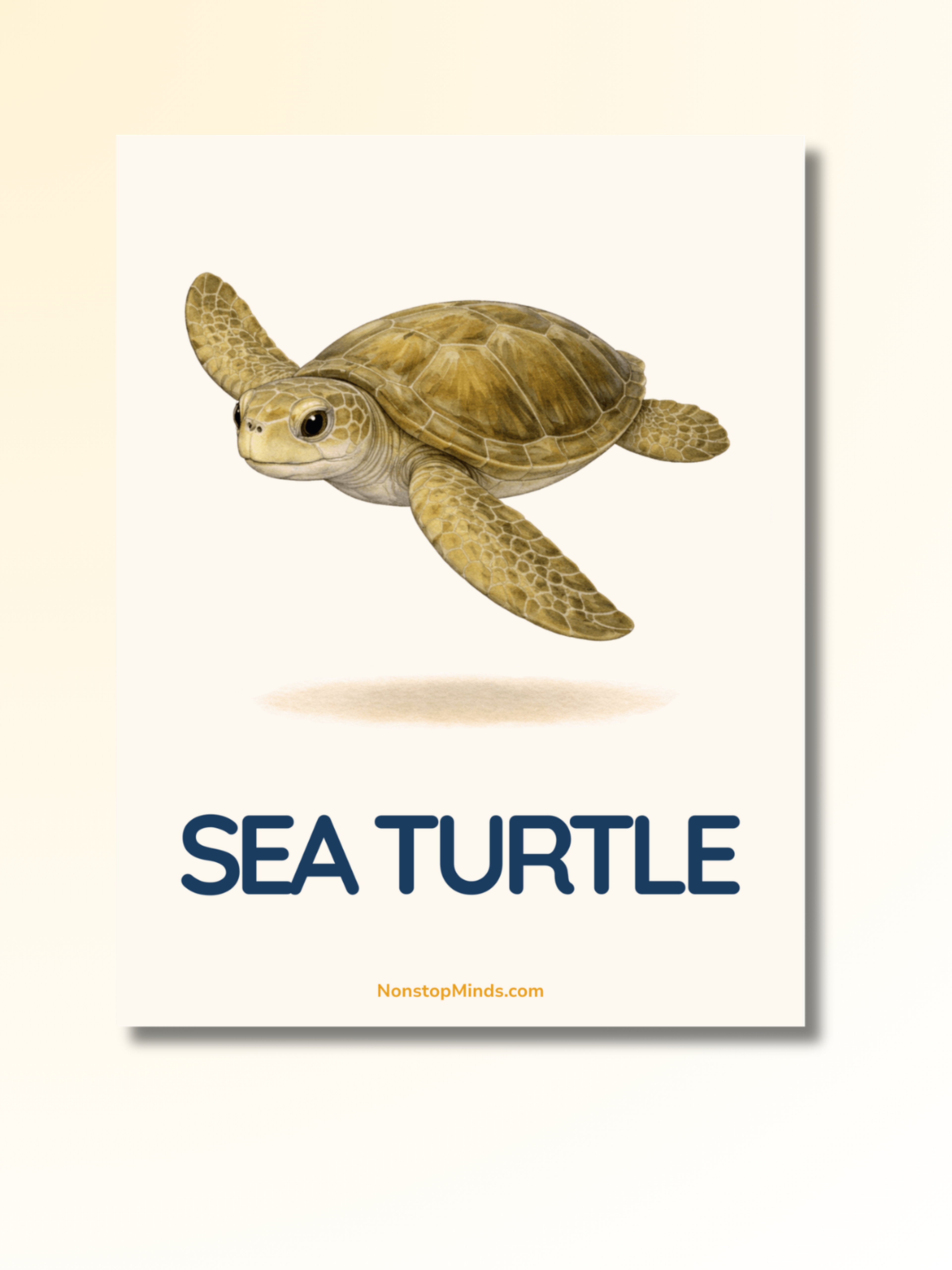 Ocean Animals: First Words Flashcards — preview image 3