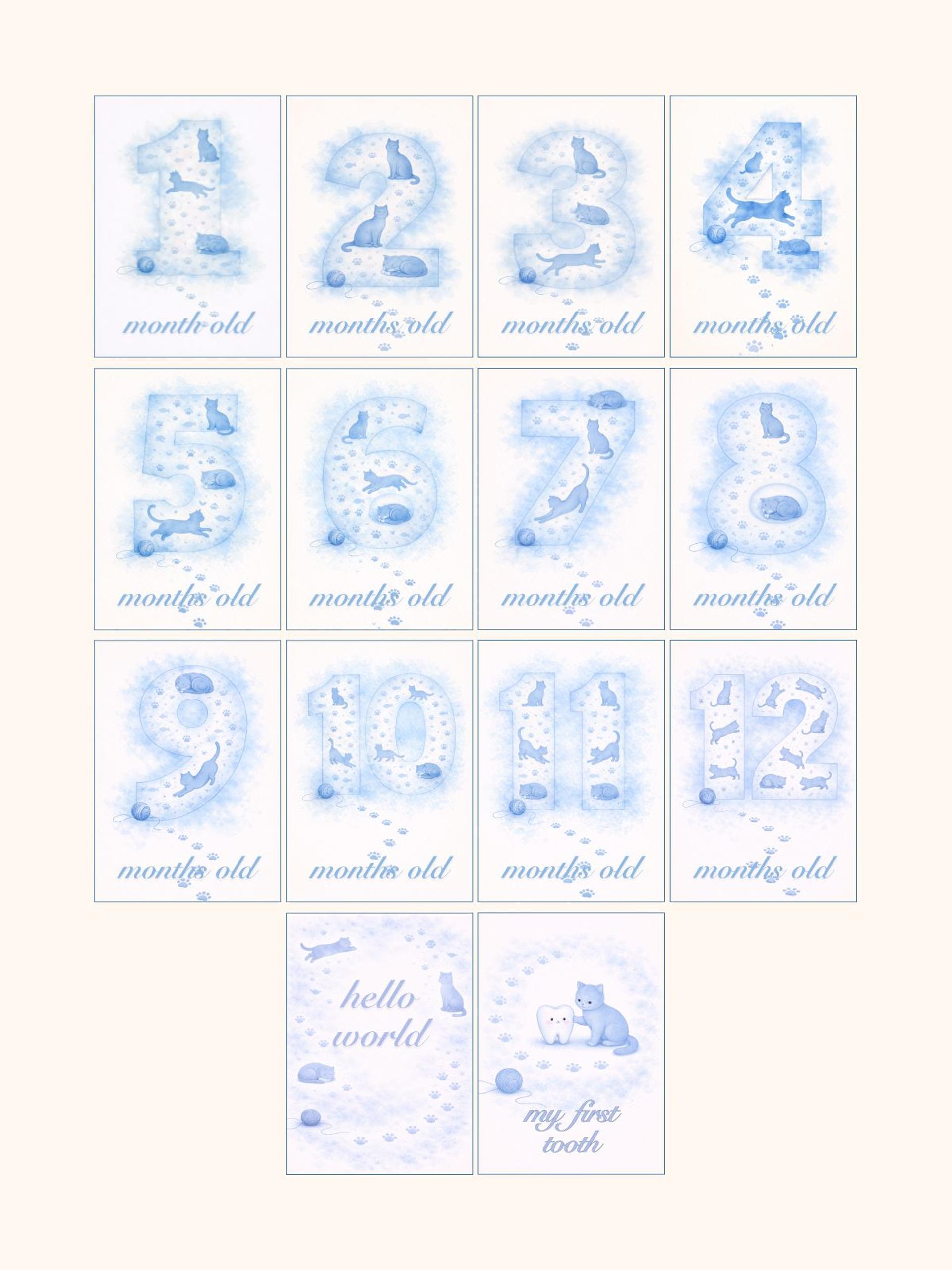 Kittens Monthly Milestone Cards — preview image 2