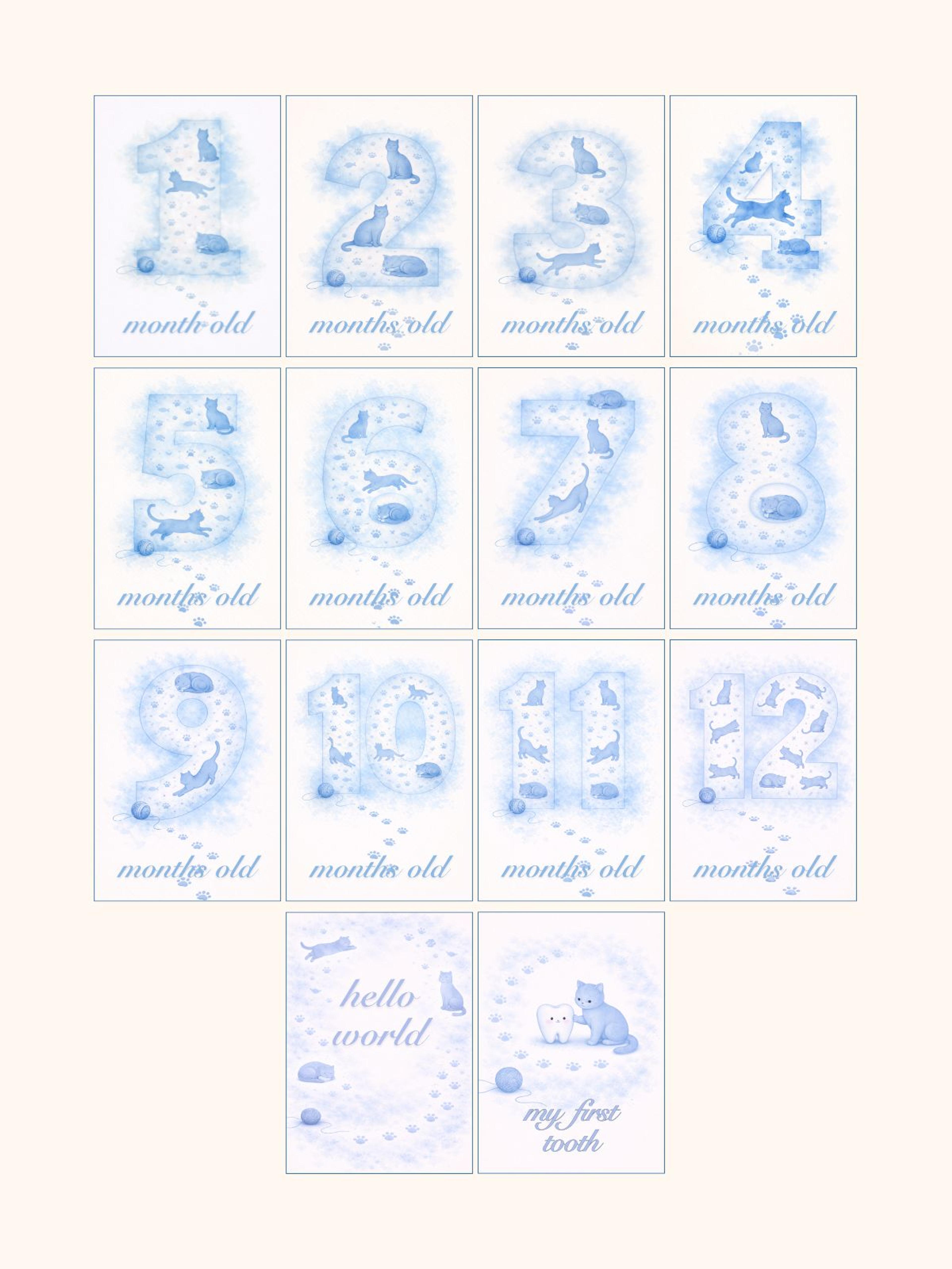 Kittens Monthly Milestone Cards — preview image 2