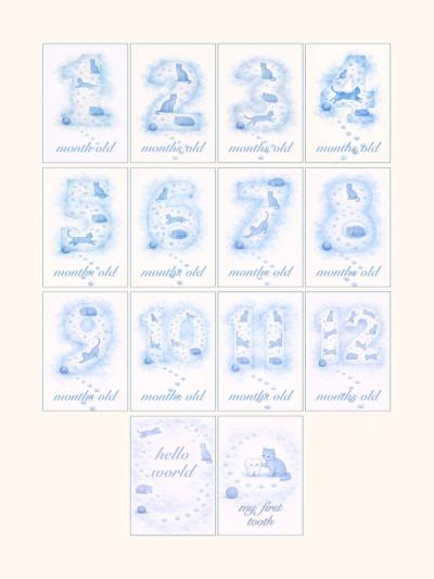 Kittens Monthly Milestone Cards — preview image 2