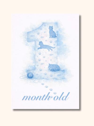 Kittens Monthly Milestone Cards — preview image 3