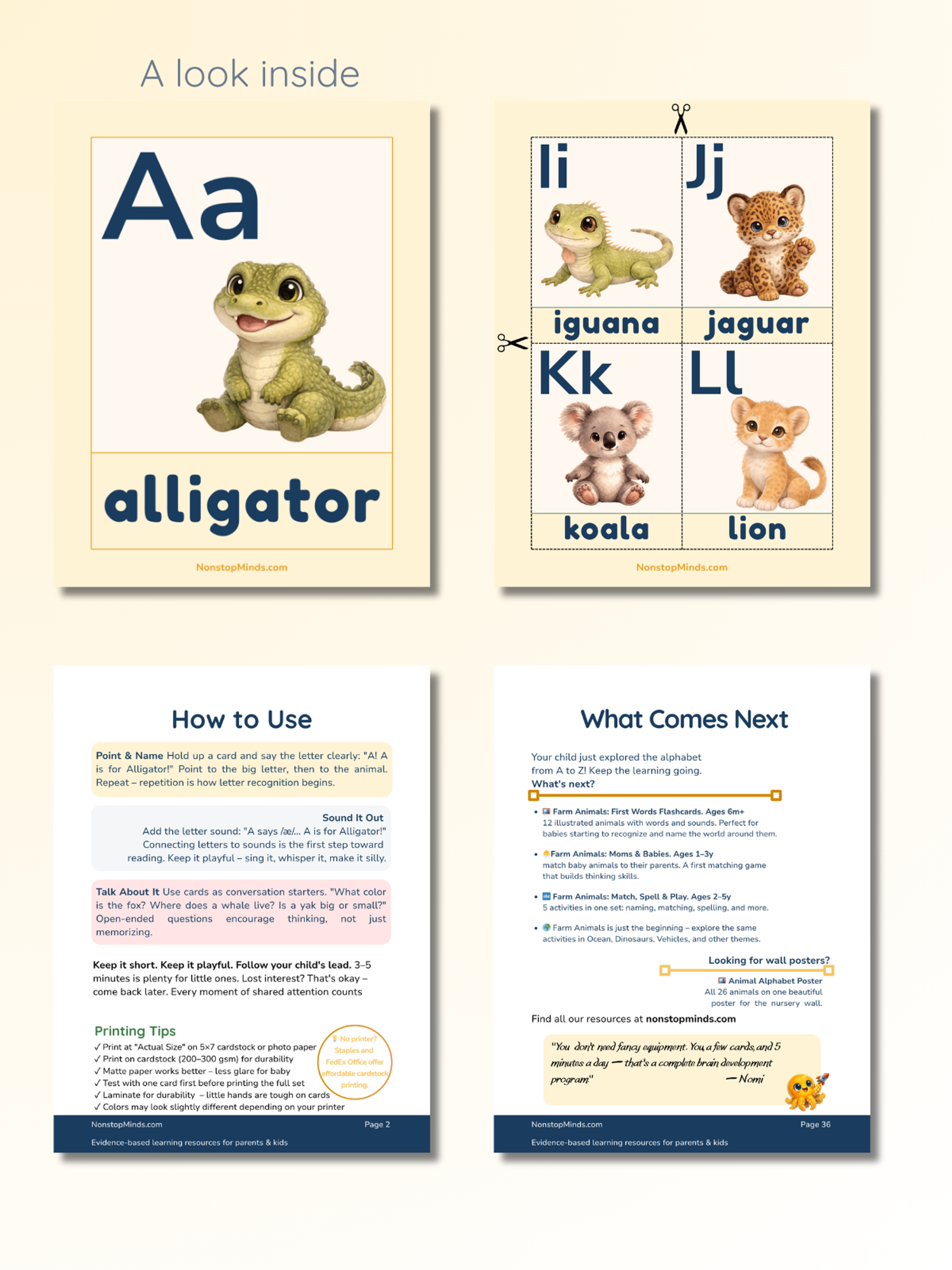 Animal Babies Alphabet Flashcards — preview image 2