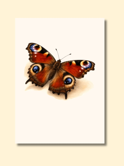 Butterflies Wall Art — preview image 3