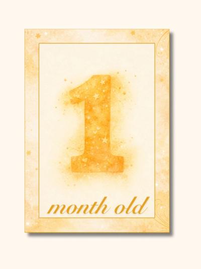 Golden Hour Monthly Milestone Cards — preview image 3