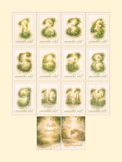 Dinosaurs Monthly Milestone Cards — preview image 2