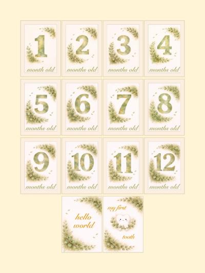 Botanical Monthly Milestone Cards — preview image 2