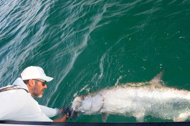 Tarpon Fishing Adventure