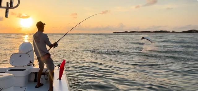 Captain David White Fishing Charters fishing photo