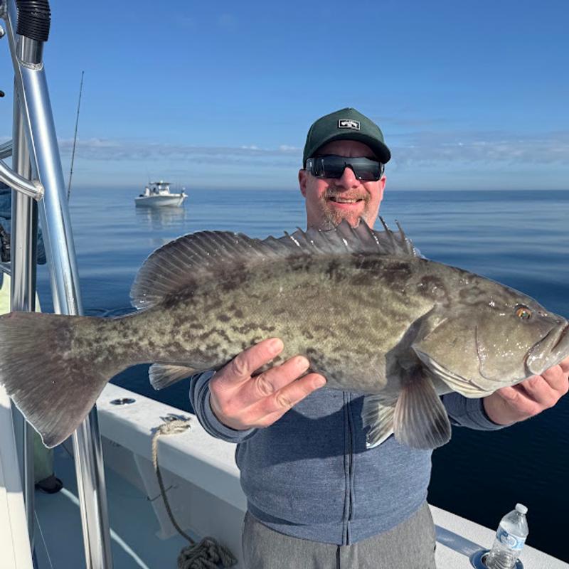 Angler holding a gag grouper on a glassy calm morning in the Gulf of Mexico