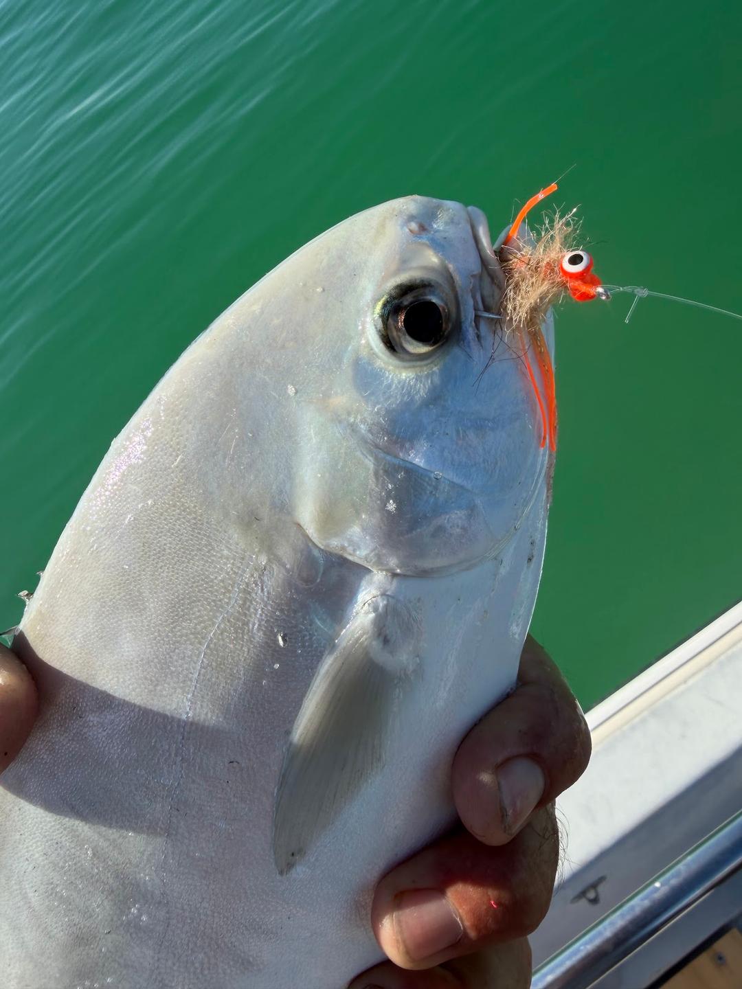 Florida pompano caught on an orange jig, held at the side of Captain David White's boat