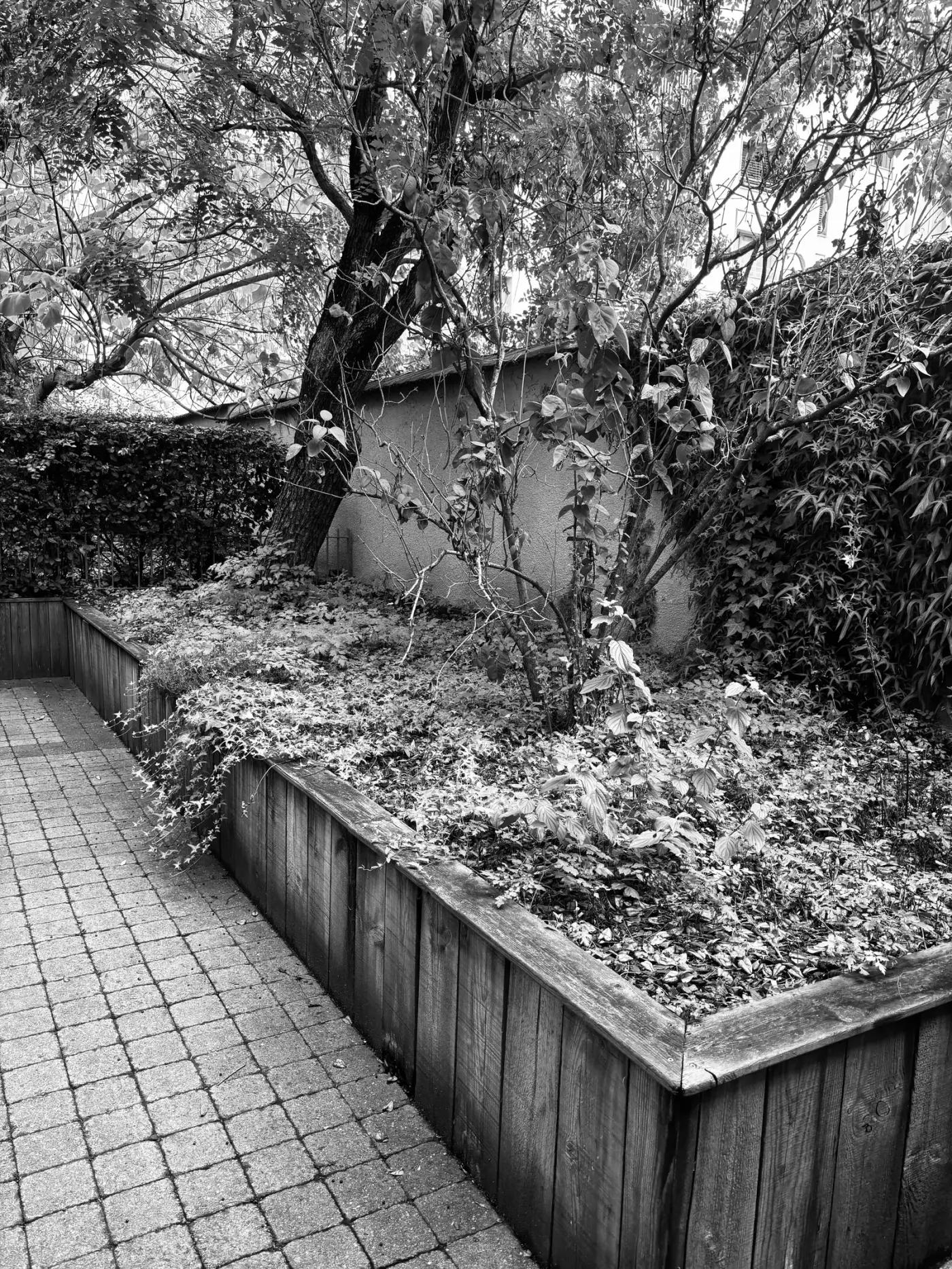 Avant — entrée opus incertum Lyon 3 (2)