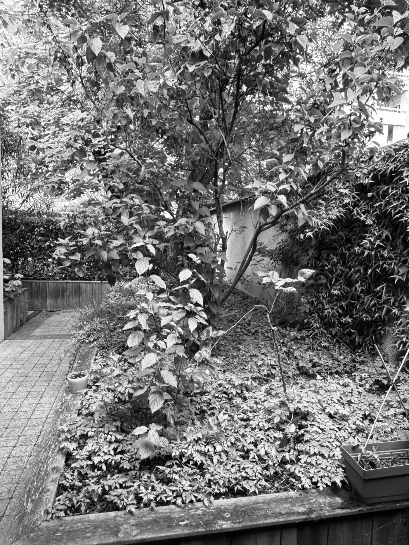 Avant — entrée opus incertum Lyon 3