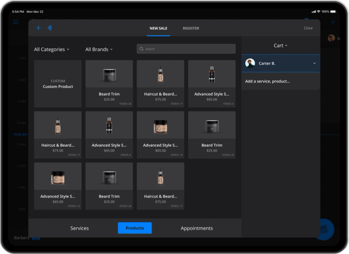 Interface showing product inventory and sales cart options.