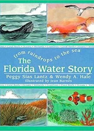 Florida Water Story Cover