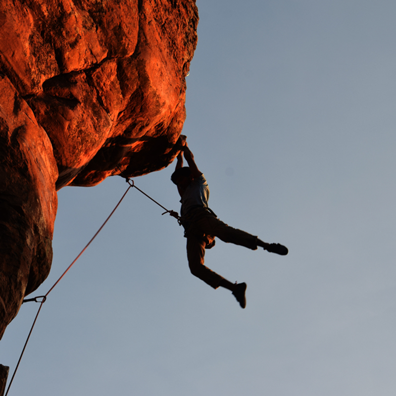Risk Is The Only Safety