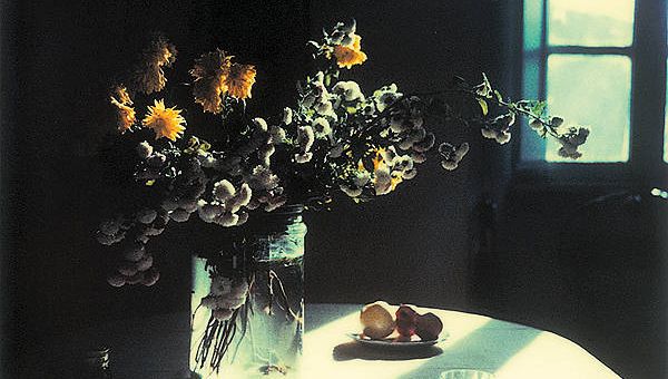 tarkovsky's polaroids