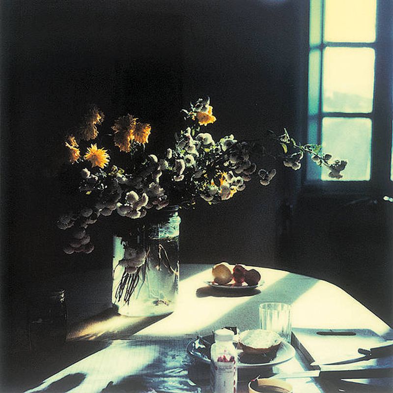 tarkovsky's polaroids