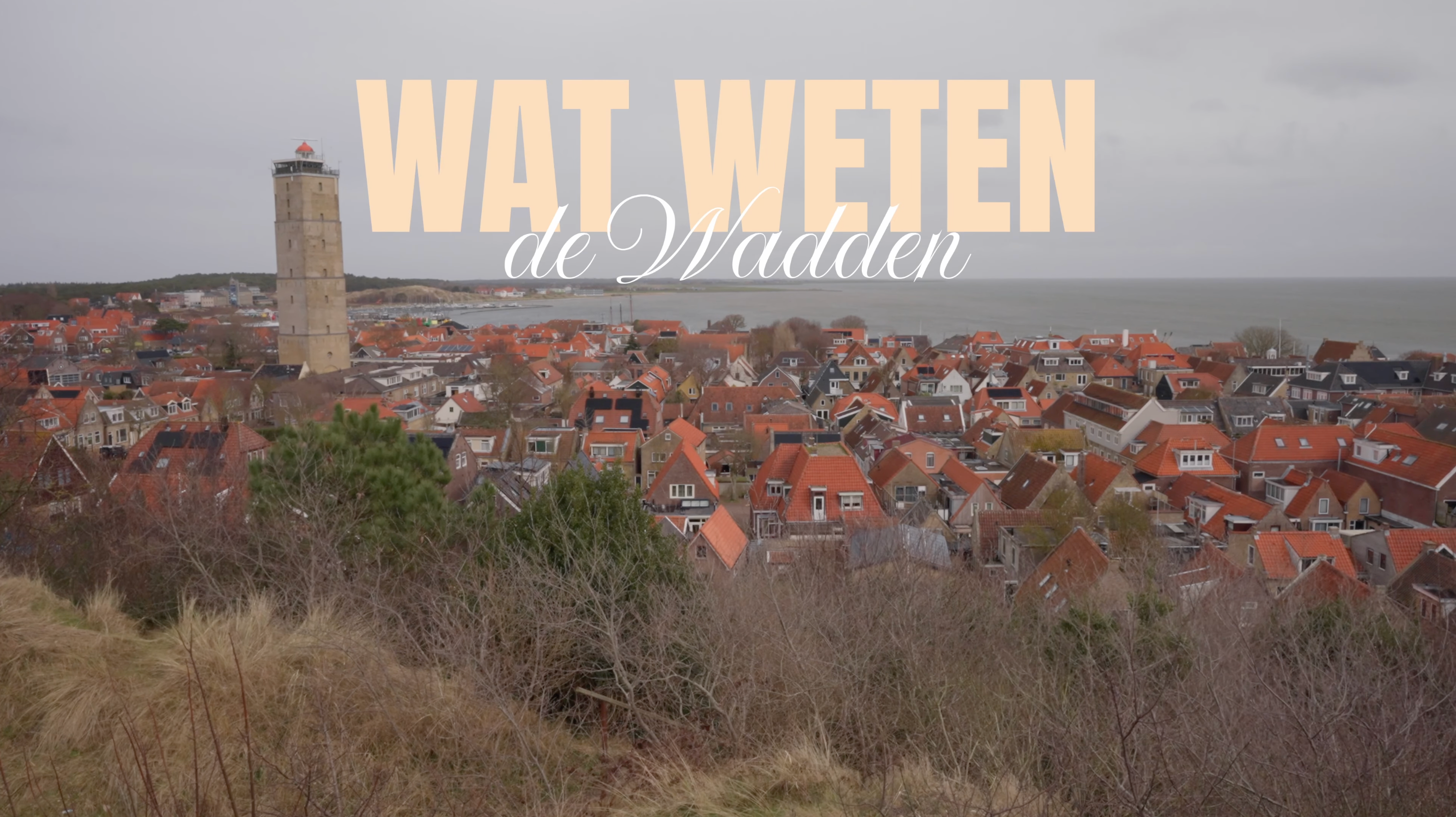 Documentaire Wat weten de Wadden