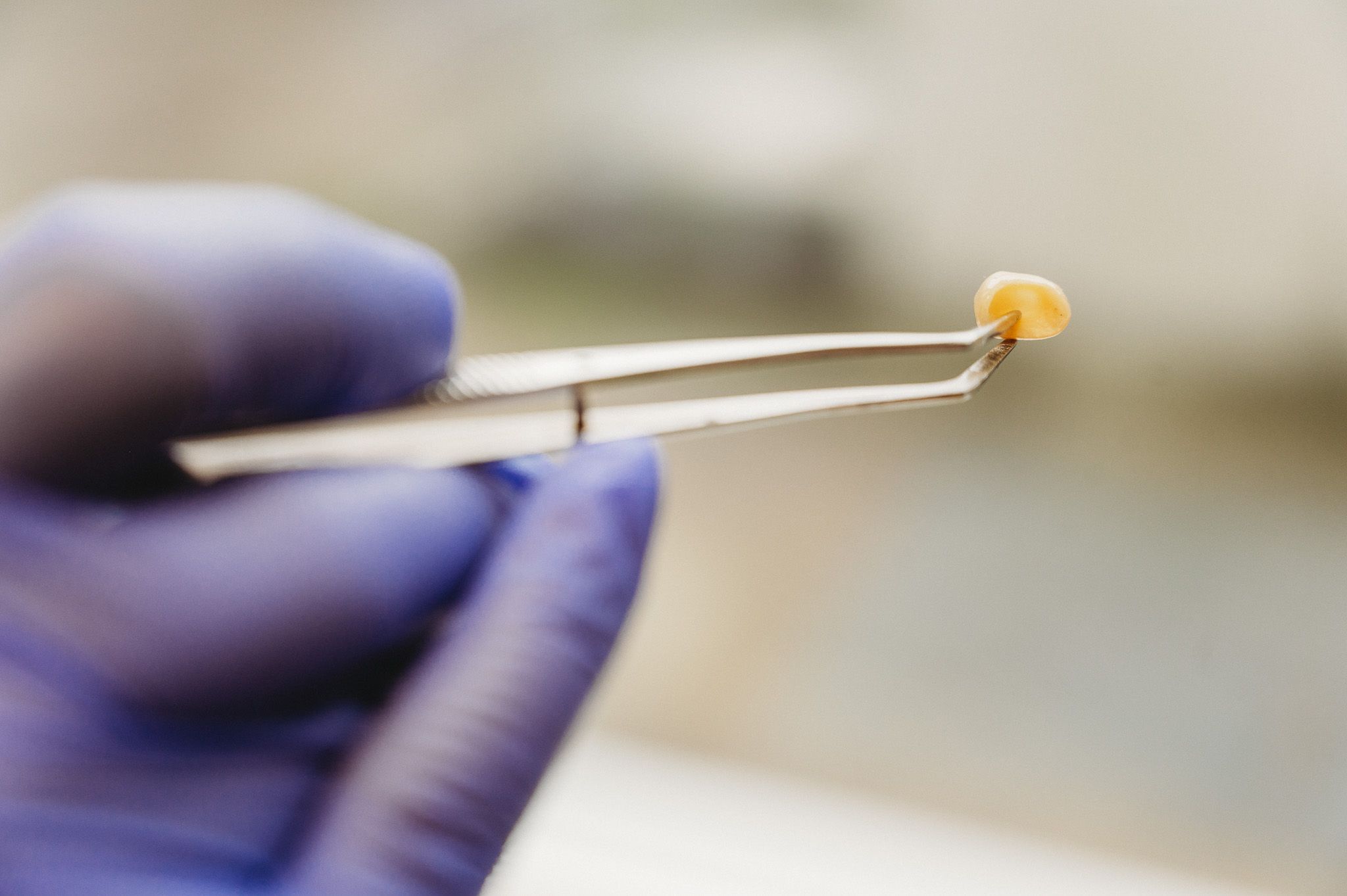 Domyślny tekst alternatywny