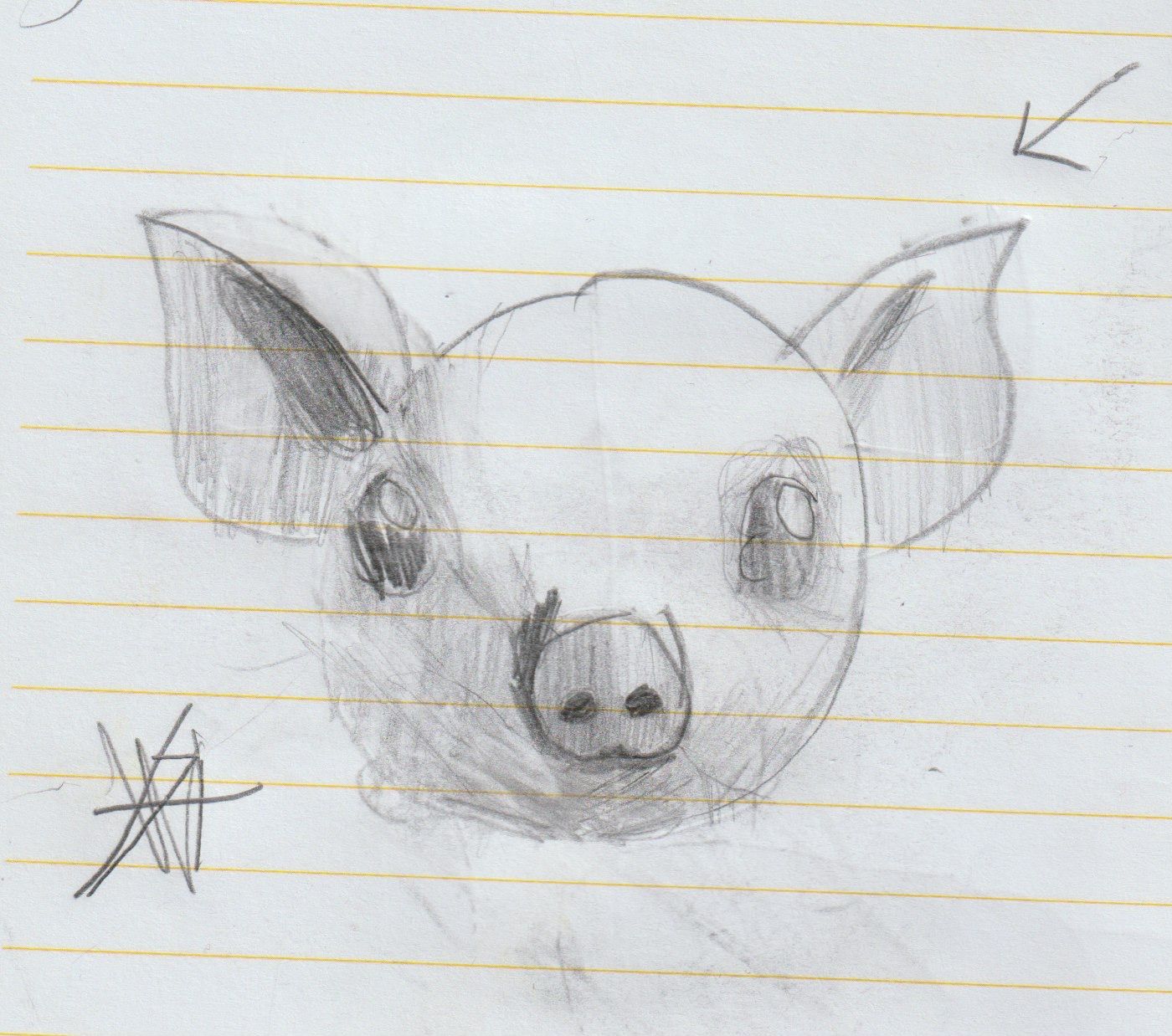 A pencil drawing of a pig head.