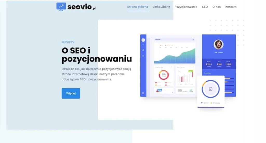 Seovio zaplecze SEO