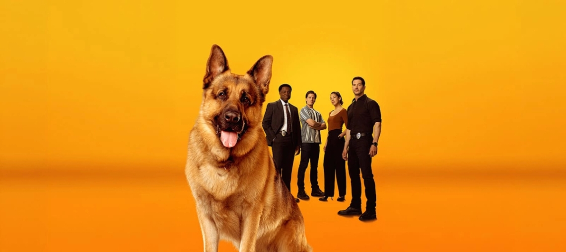 image alt text