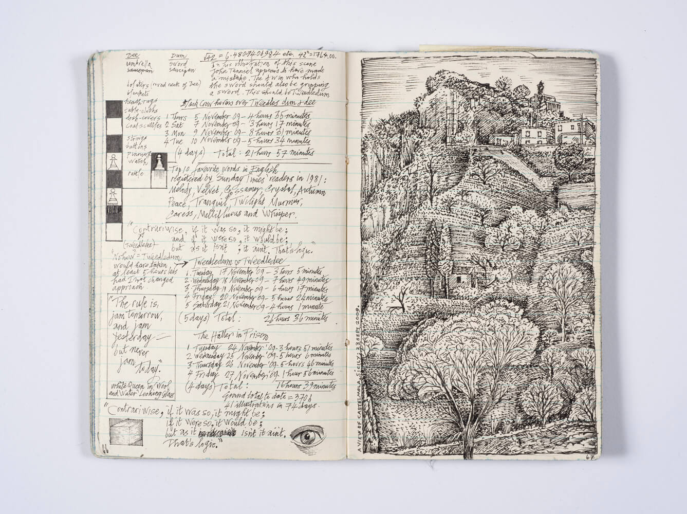 Photograph of a sketchbook spread that includes detailed notes and an ornate pen and ink drawing