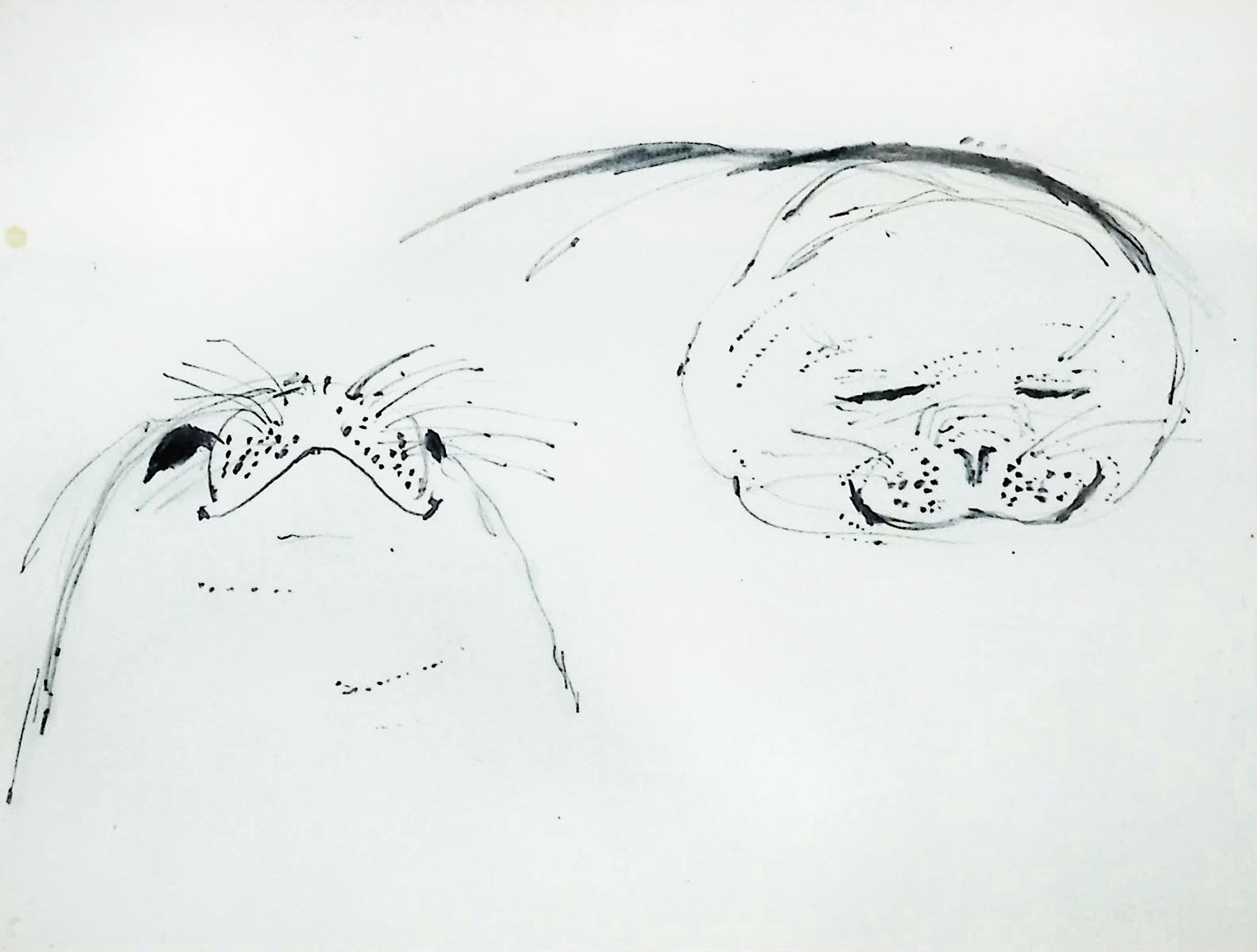 A pencil drawing of faces of two seals 