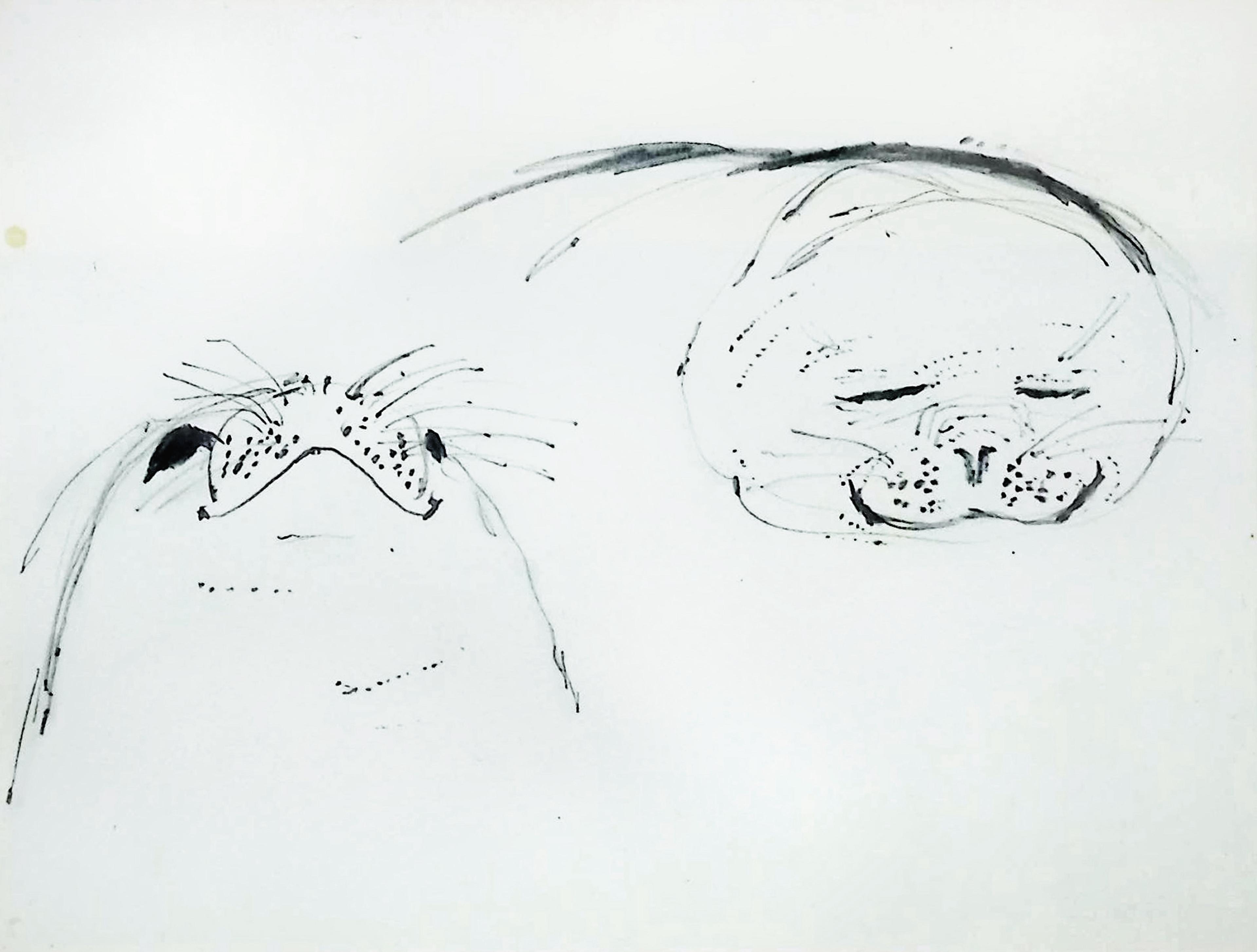 A pencil drawing of faces of two seals