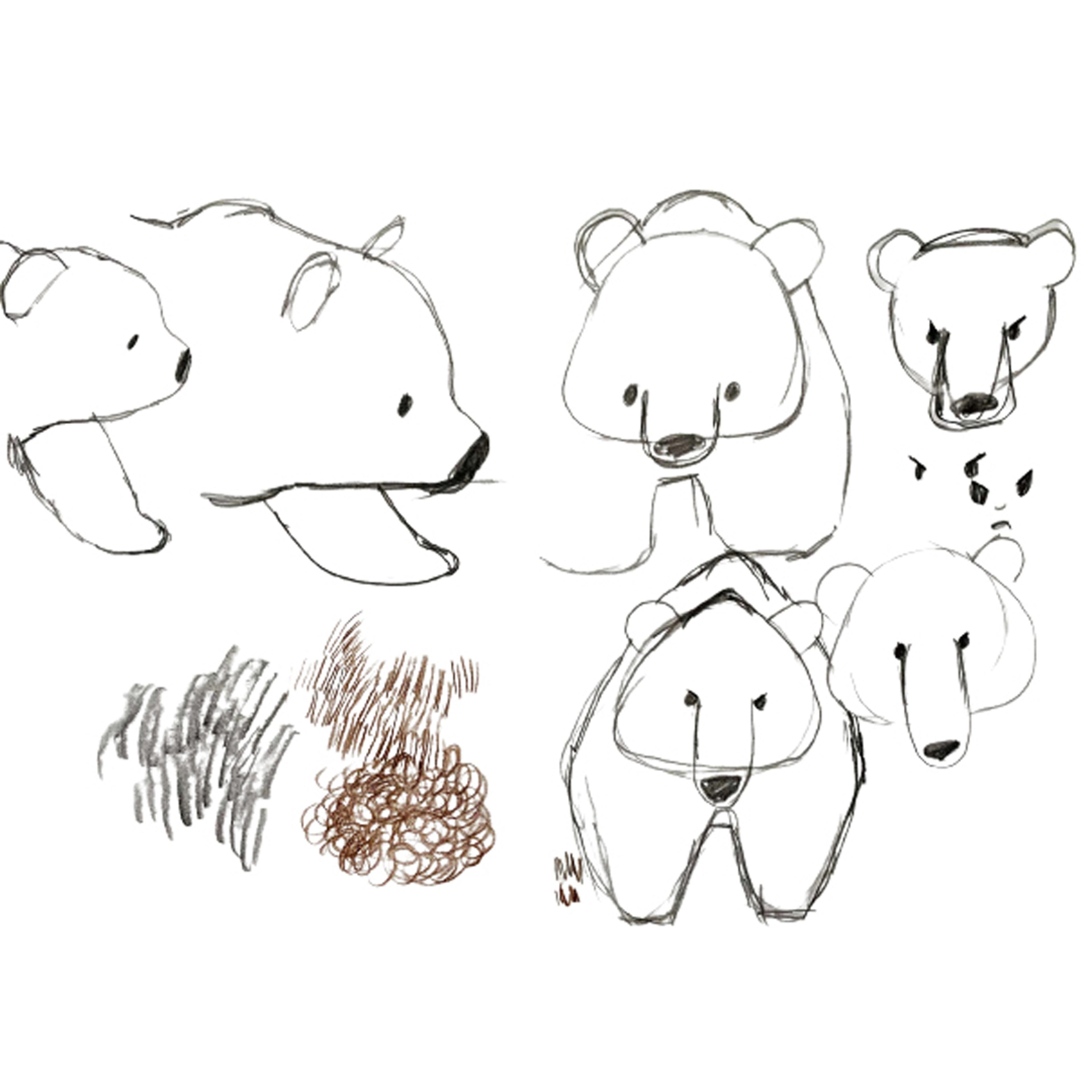 Sketches of bears
