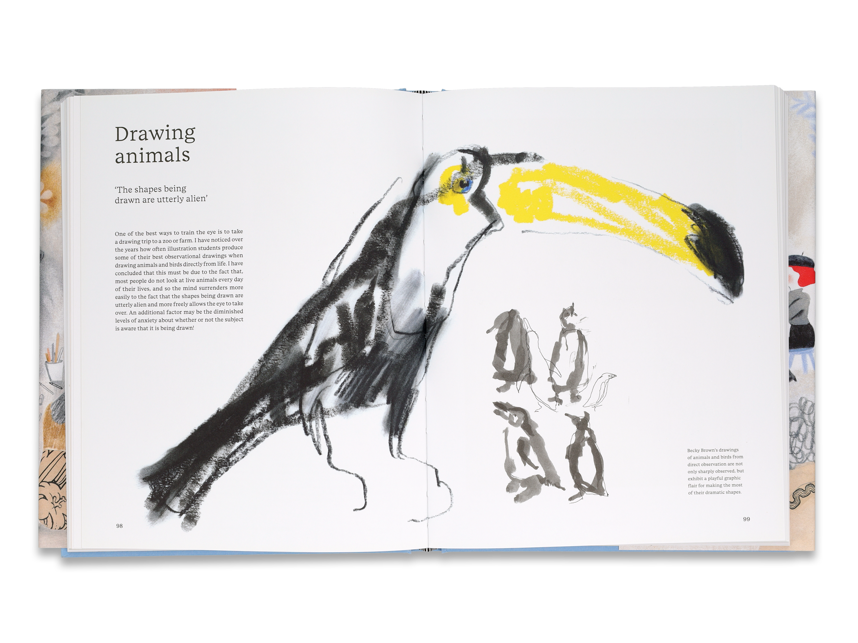 A spread featuring a drawing of a toucan with some text. The heading reads "Drawing animals".