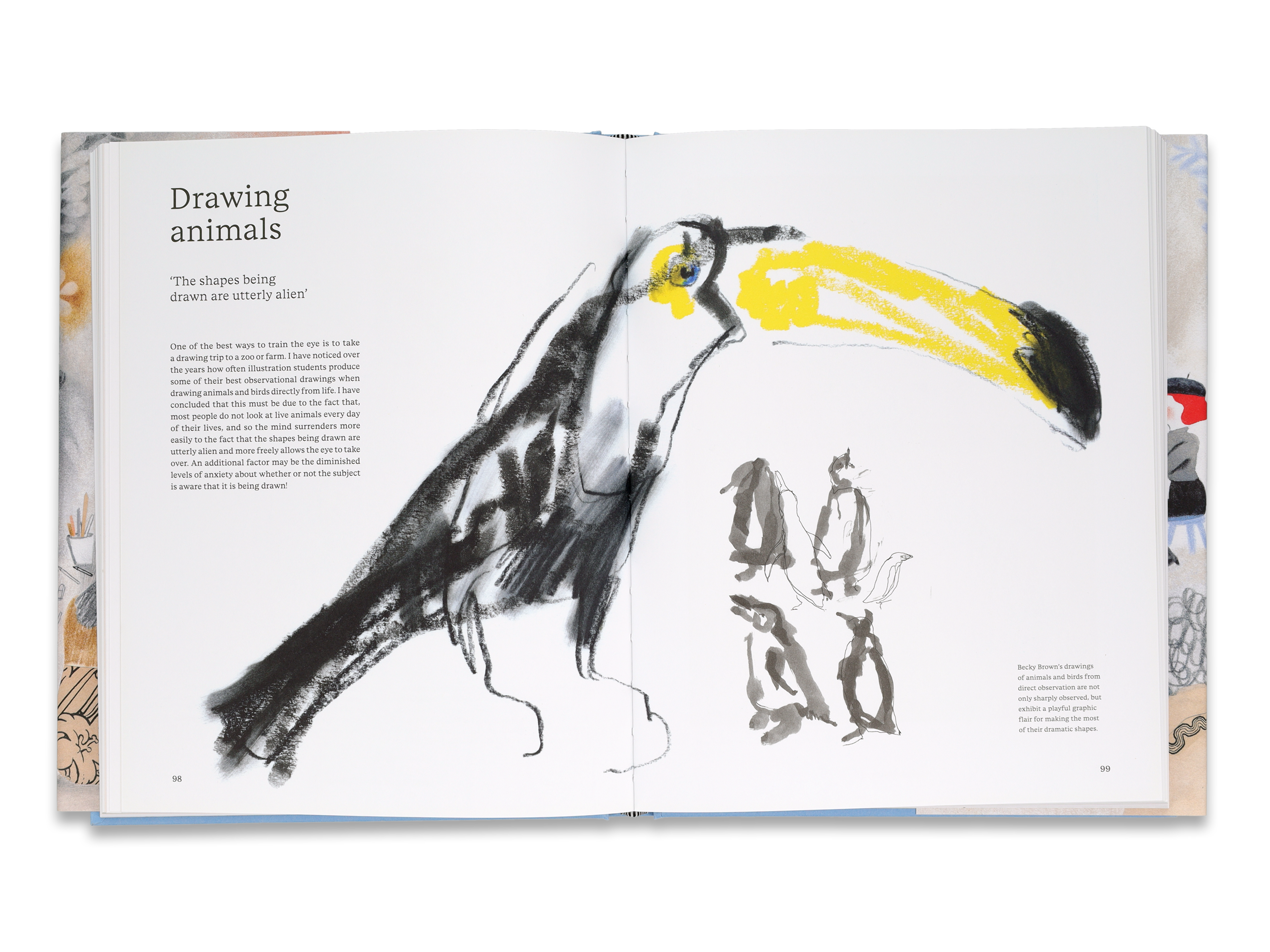A spread featuring a drawing of a toucan with some text. The heading reads "Drawing animals".