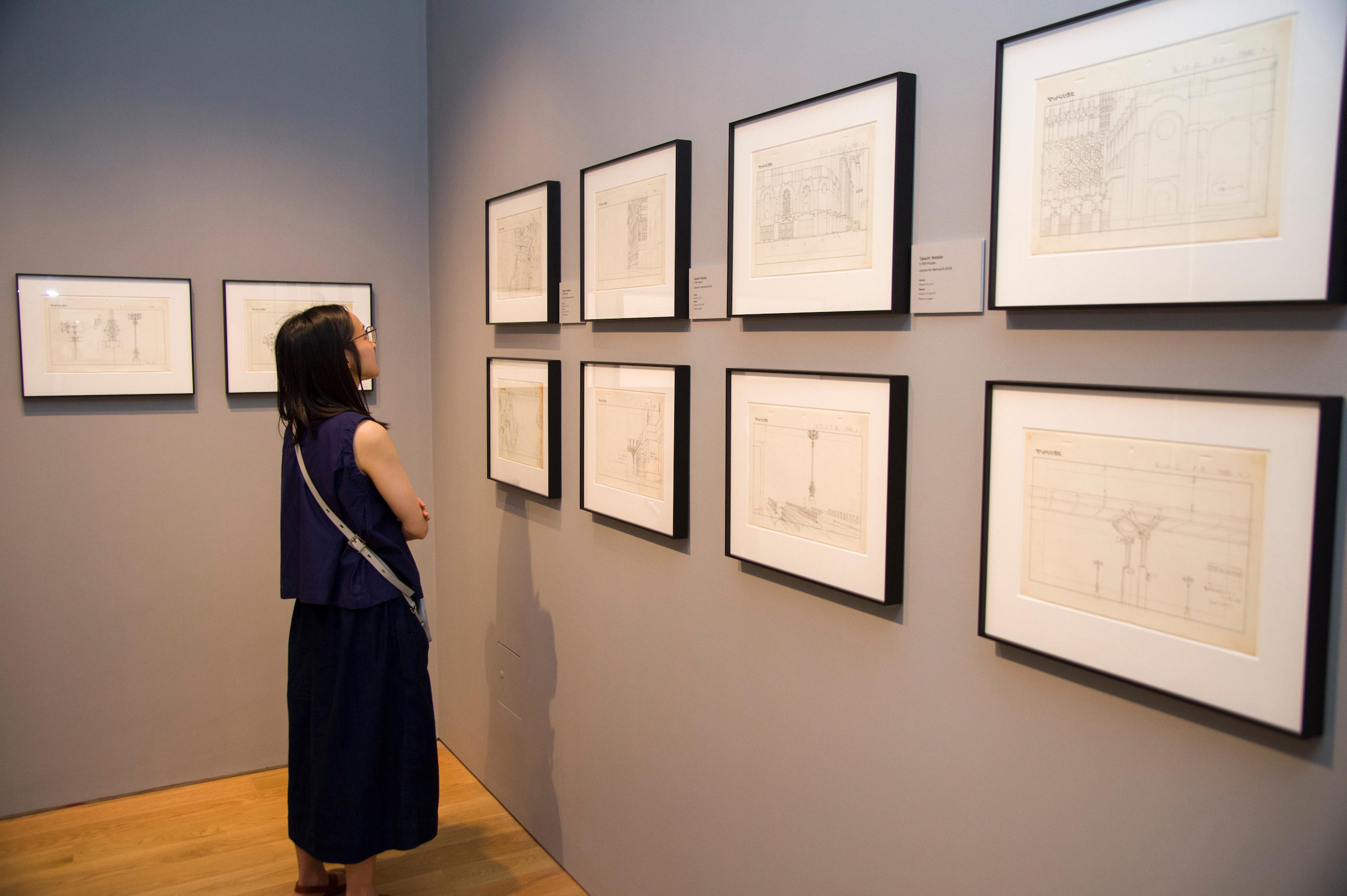 Framed illustrations displayed on a wall in a gallery space. A person is in front of them looking at them.