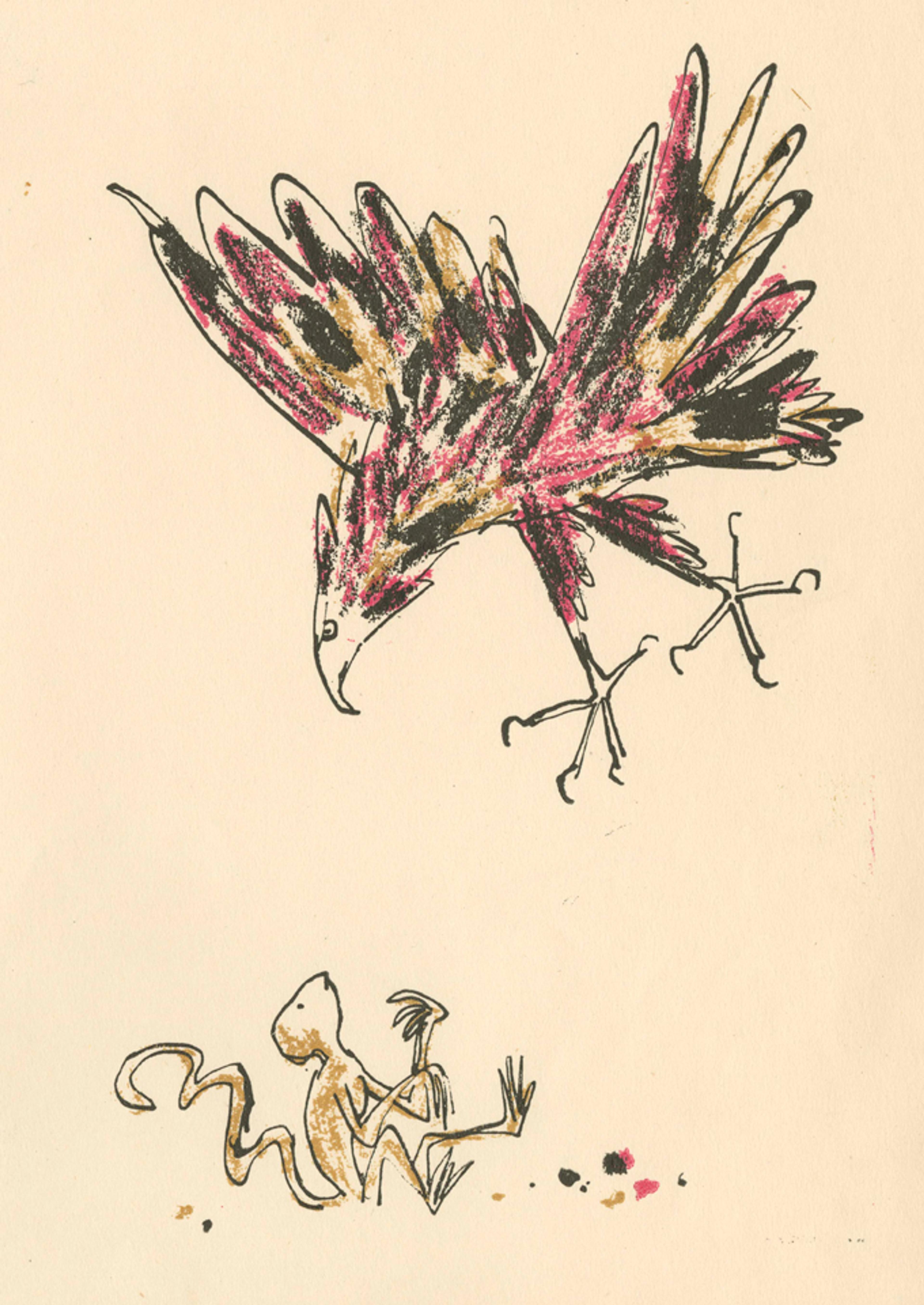 Illustration of a bird flying over and looking at a monkey sitting on the ground.