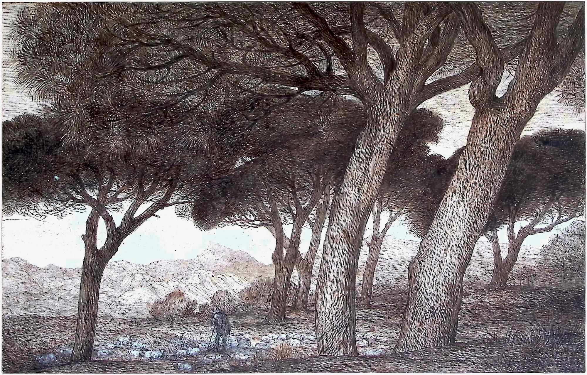 Untitled (drawing of south of France)