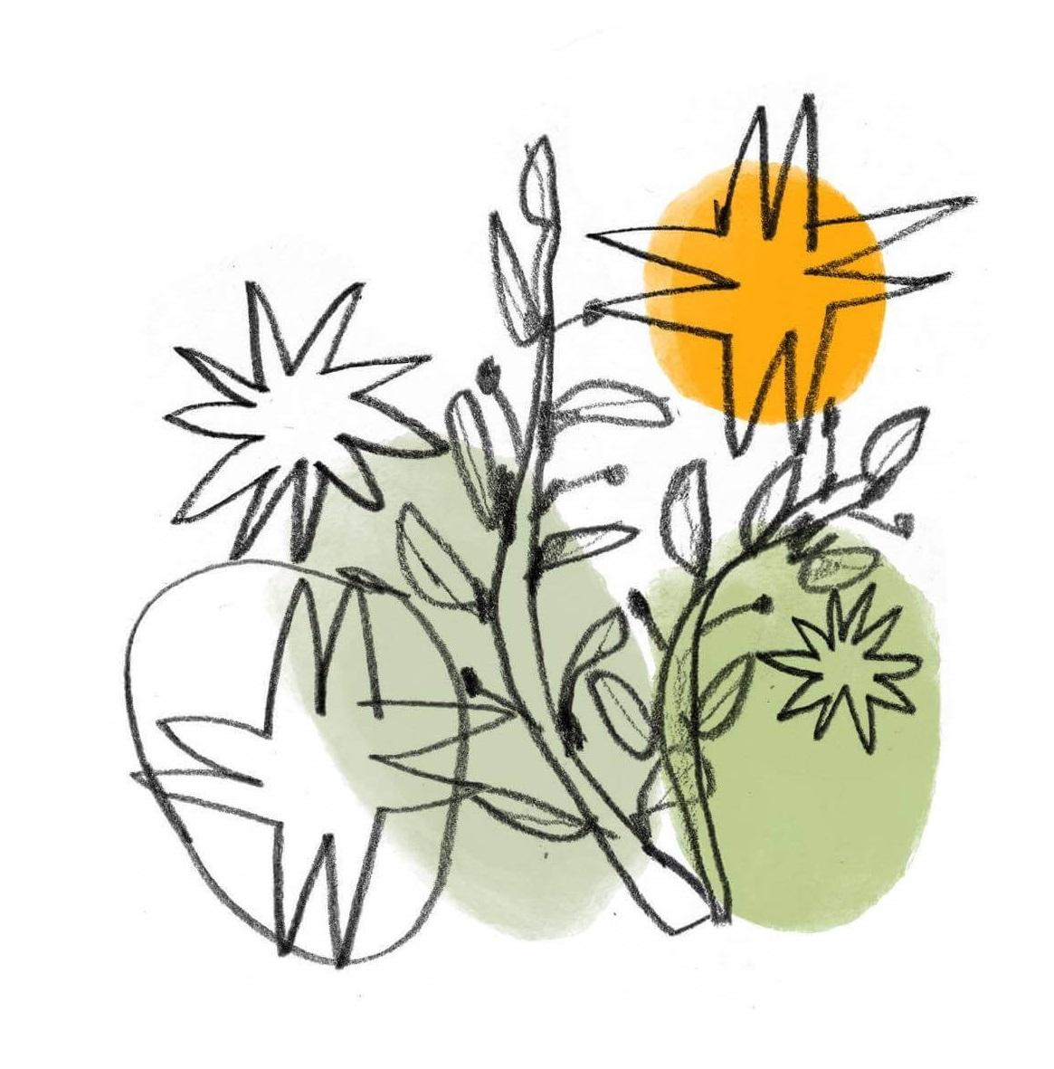 Line drawing of flowers and stars