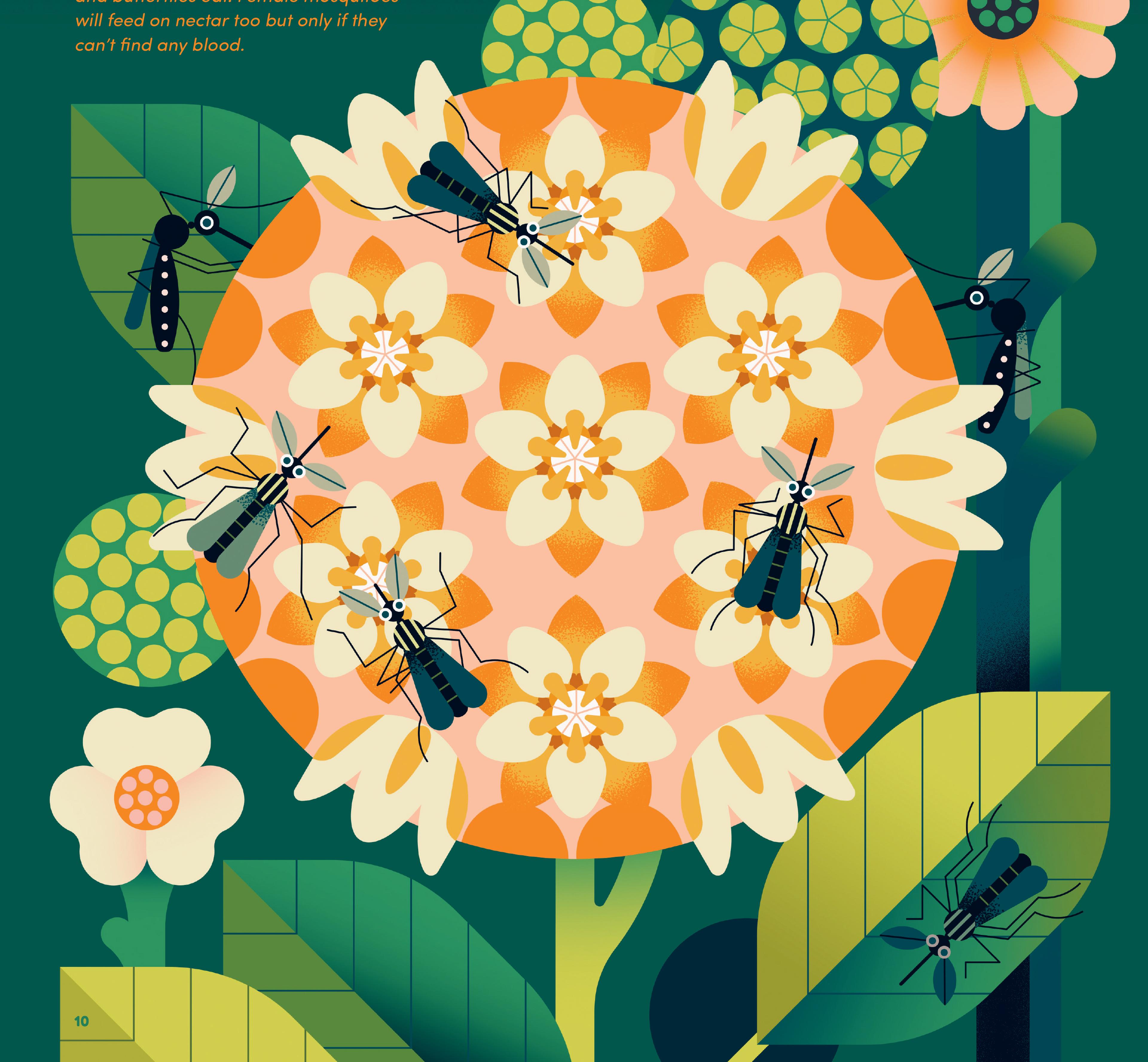 Graphic illustration of winged insects on a large pink and orange flower against a lush forest green background