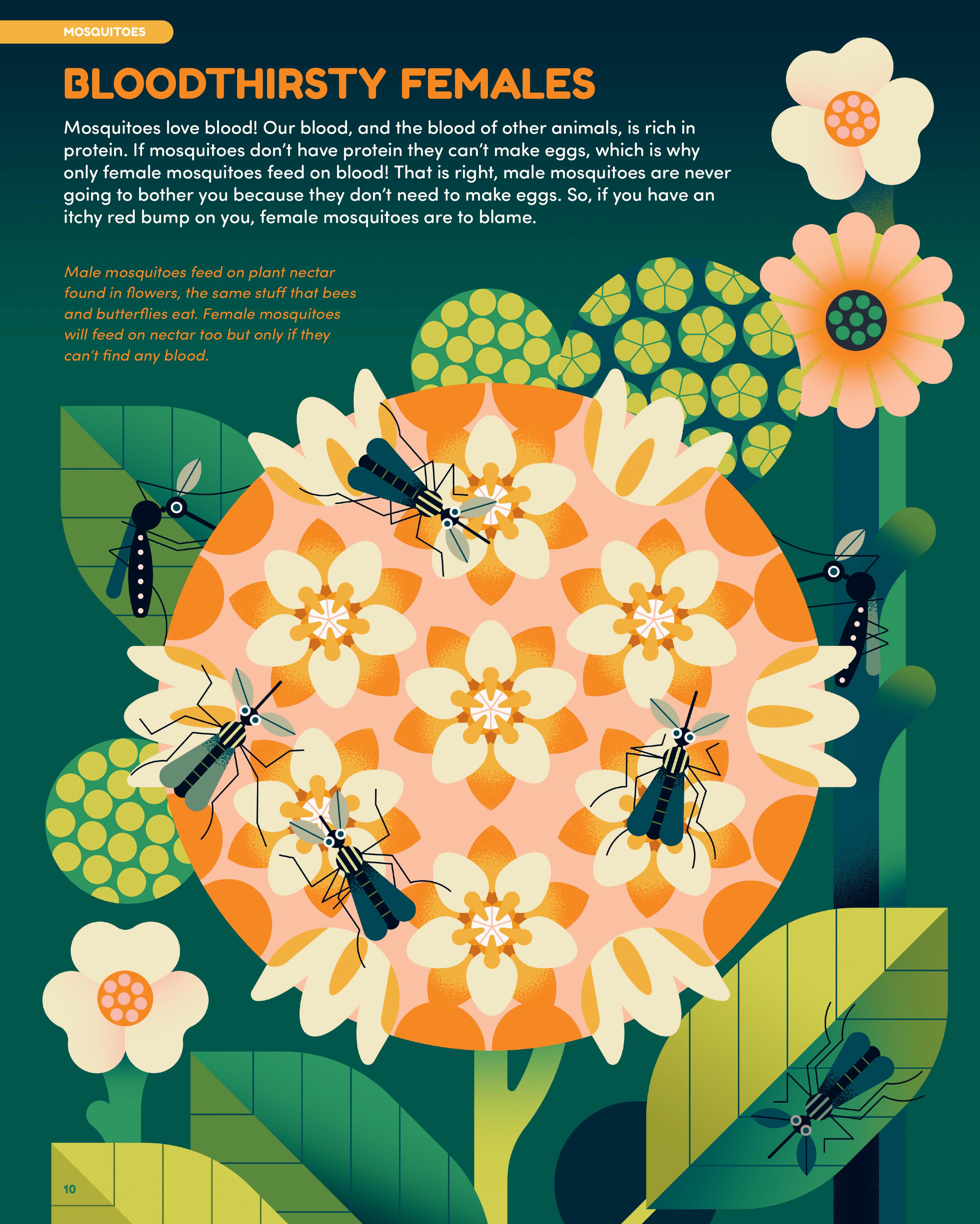 An illustrated page design with a short paragraph of text titled 'Bloodthirsty Females'. The spread includes a graphic illustration of winged insects on a large pink and orange flower against a lush forest green background