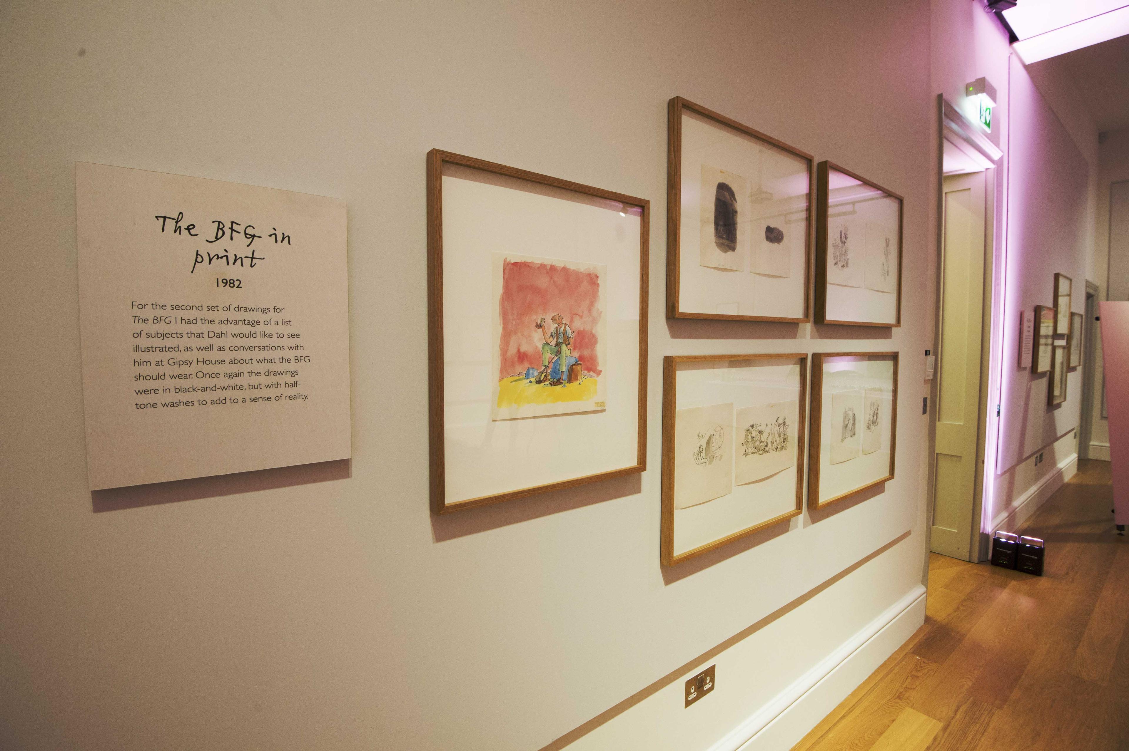 Framed illustrations displayed on a gallery wall.