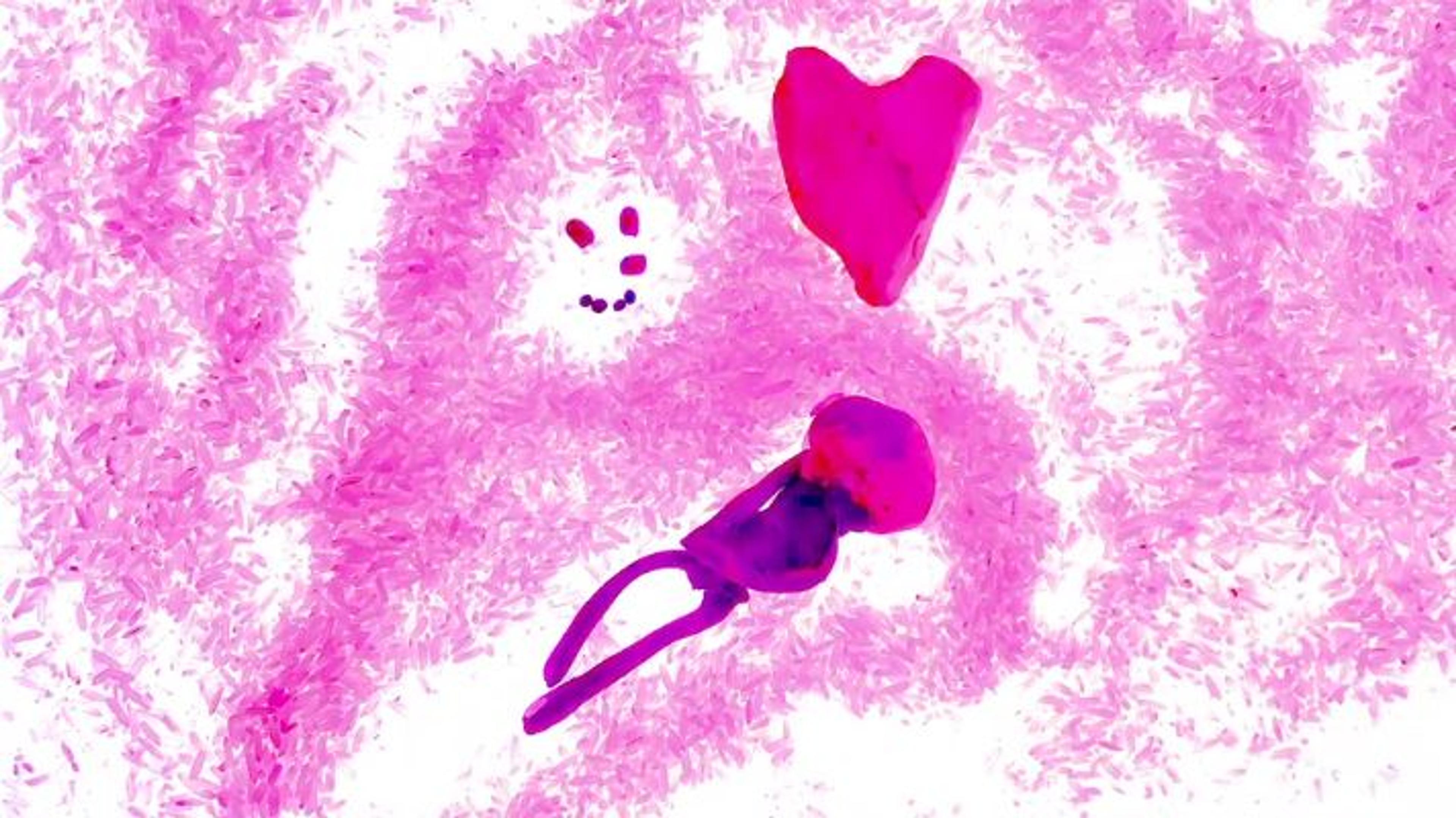 Illustration of a pink textured background with a heart, smiling face and shape of a baby on top of it.