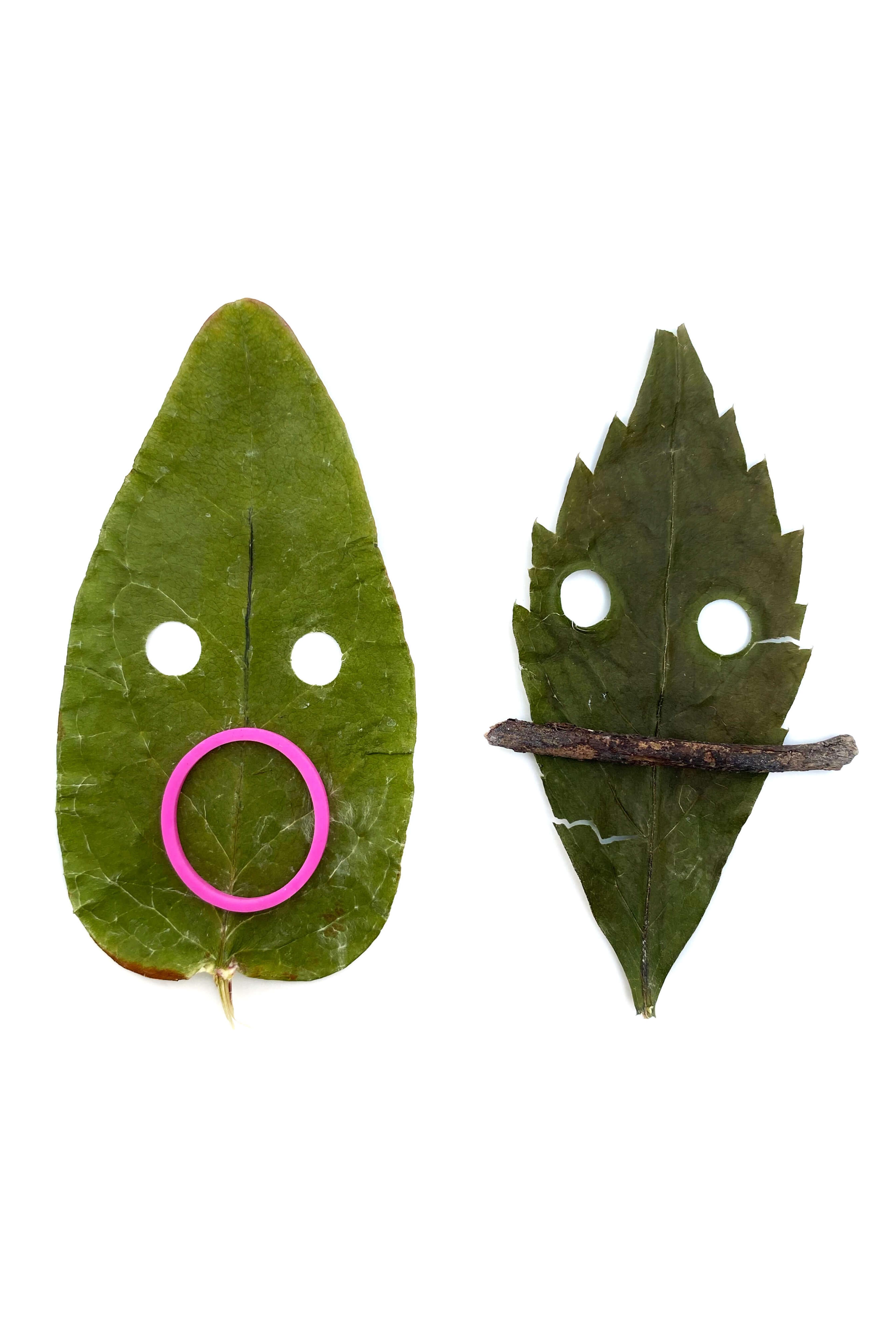 Two faces made from two leaves