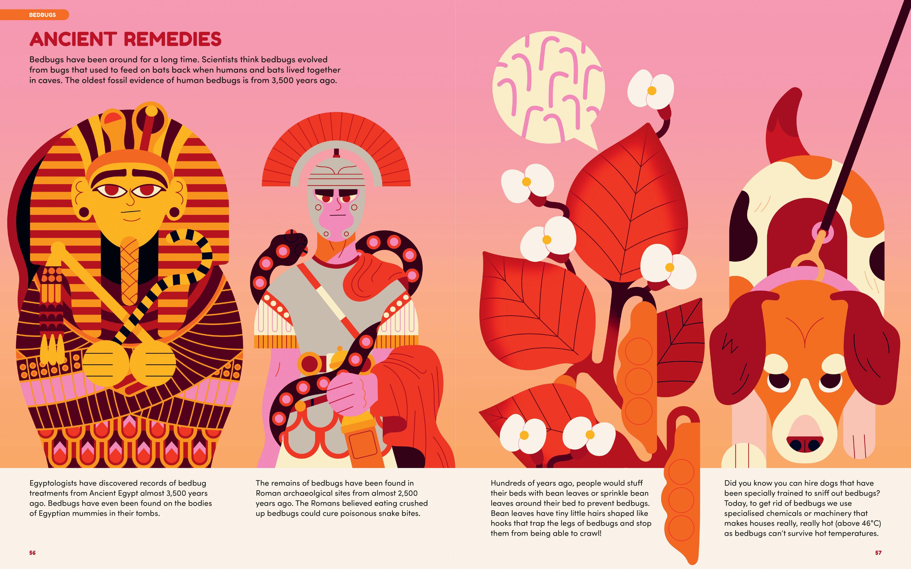 A double page spread from a picture book featuring a series of historical characters along with text about what ancient remedies for bed bugs.