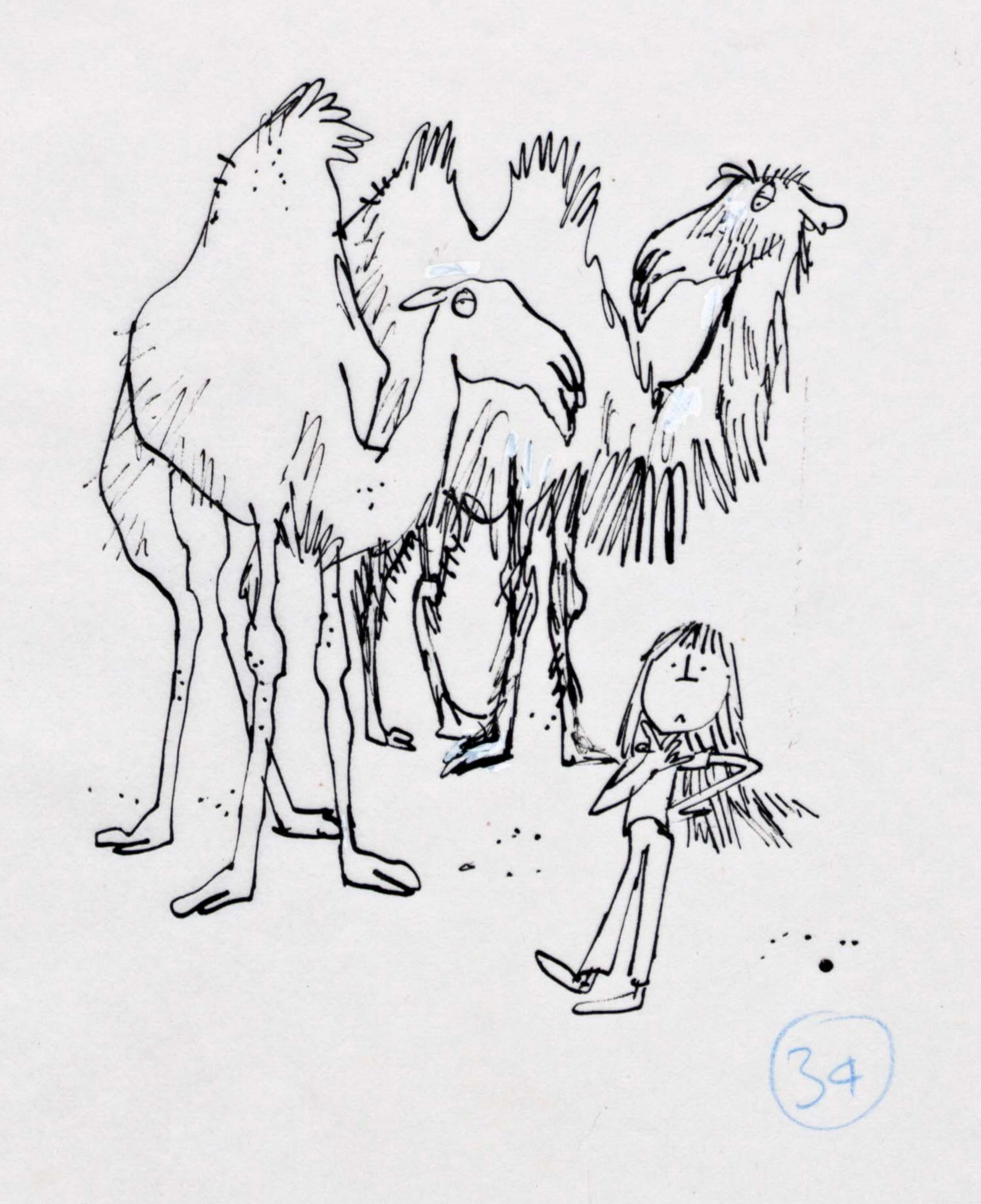 Illustration of a girl with a camel and a dromedary