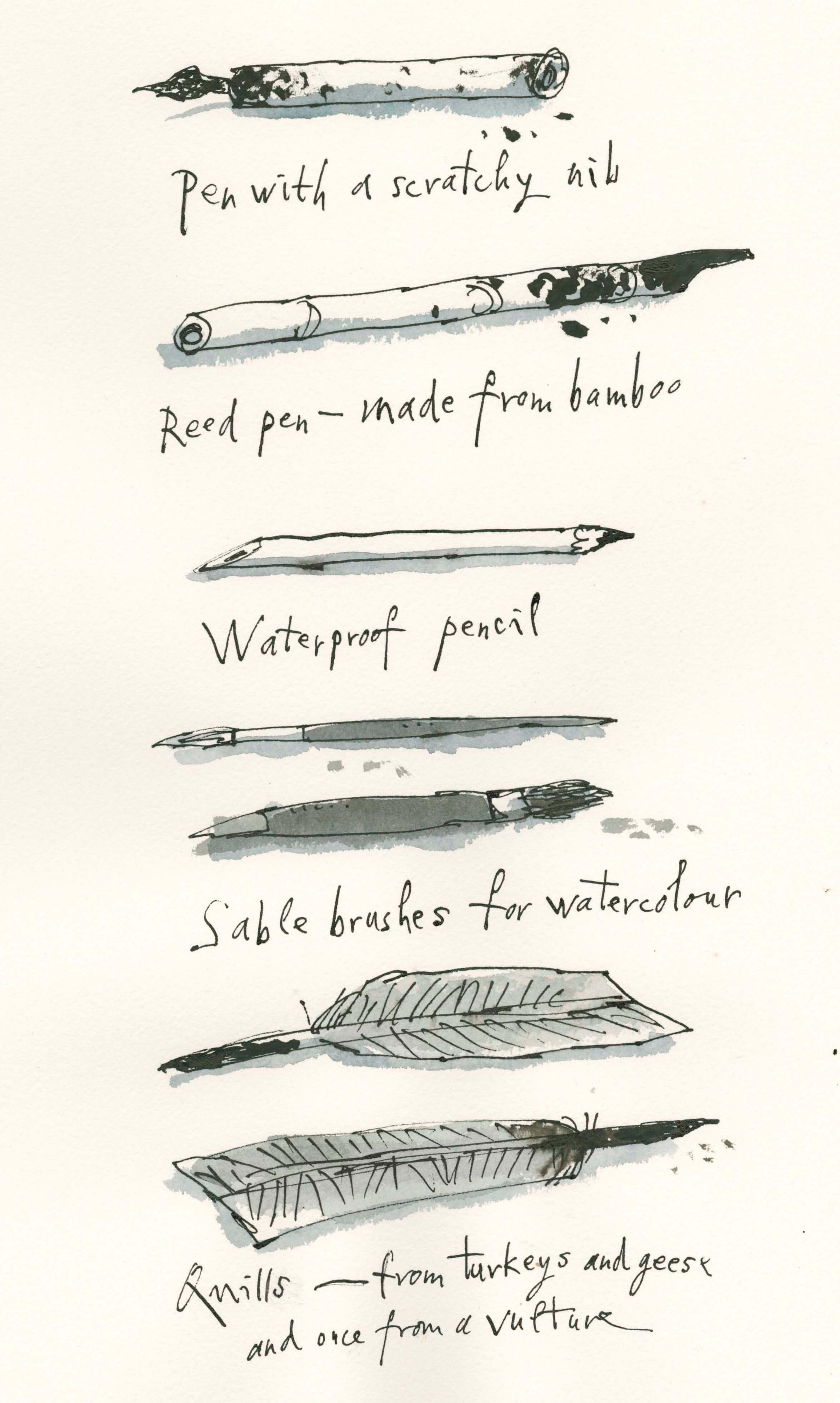 Illustration of different writing implements with a title for each one, these titles are: 'Pen with scratchy nib', 'Reed pen - made from bamboo', 'Waterproof pencil', 'Sable brushes for watercolour' and 'Quills - from turkeys and geese and once from a vulture'.