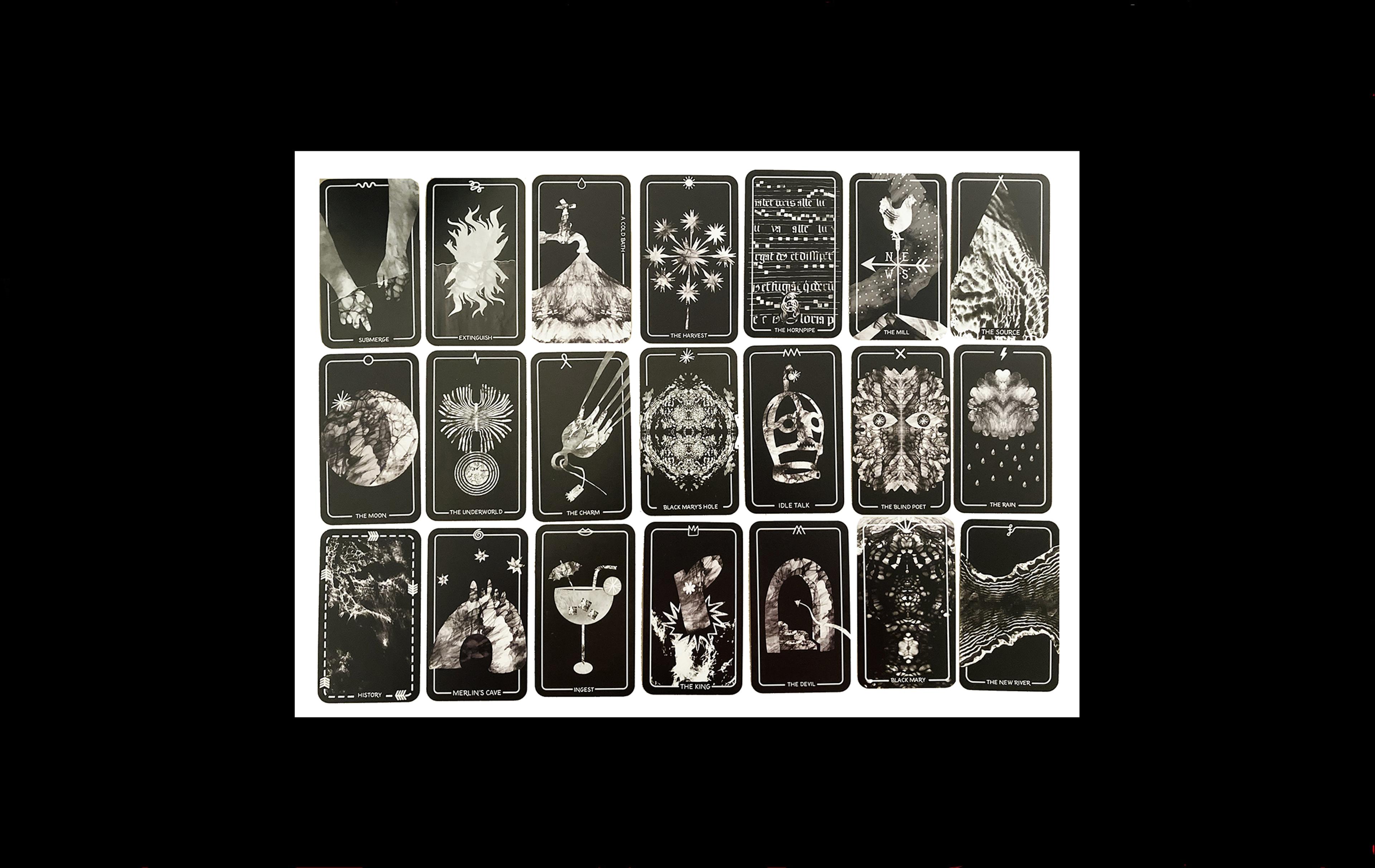 Photograph of 21 black and white printed playing cards, each with a different illustration and caption, including 'ingest' with an image of a cocktail,  and 'The King' with an image of a foot poking above the surface of the water