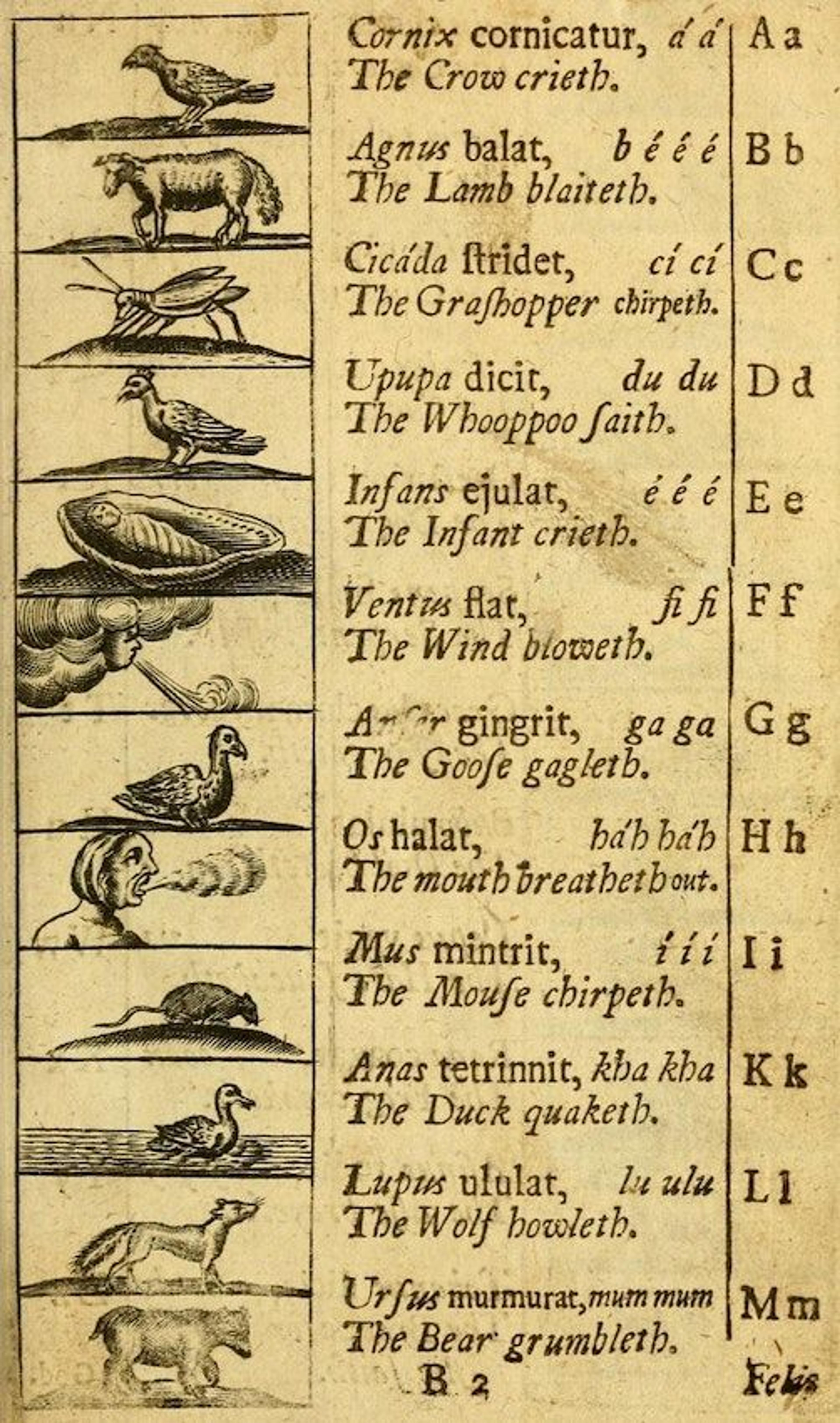 A yellowed sheet with a column of printed illustrations of animals and people alongside a column of descriptions showing the key letters and sounds, including an image of a crow with the words 'The Crow crieth'