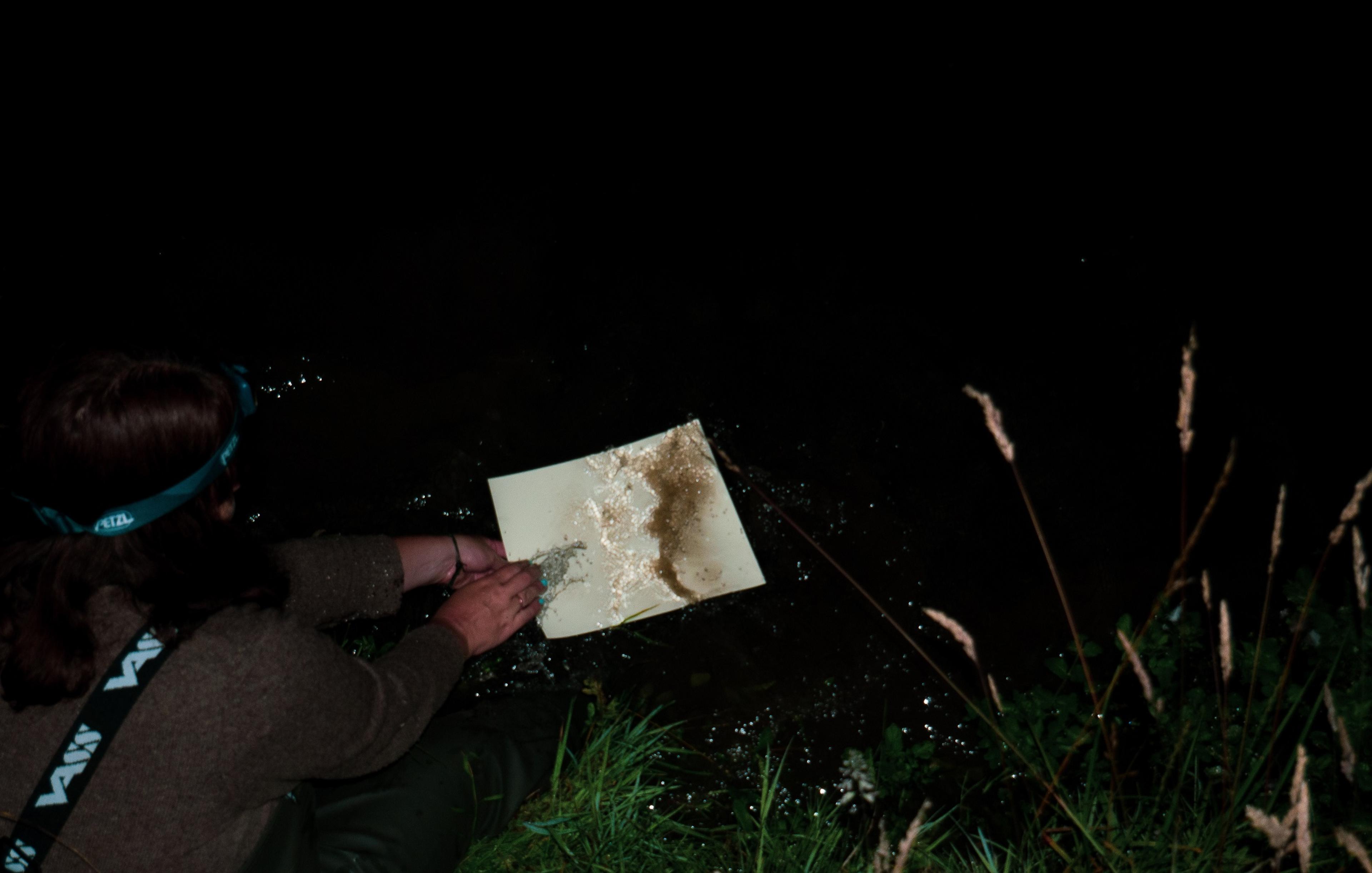 Dark photograph of a person crouching on the banks of a river at night, placing paper into it